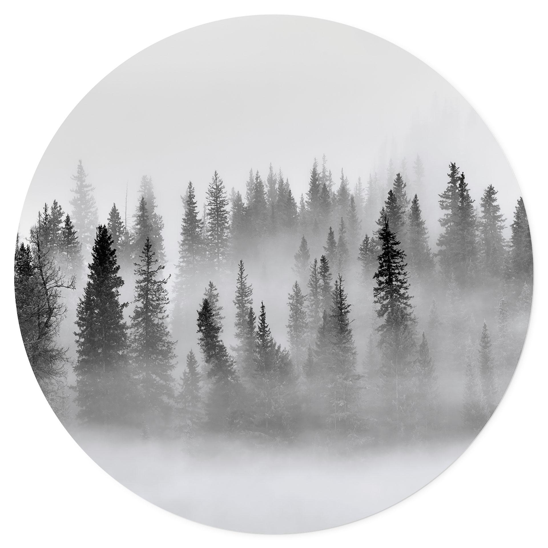 Muursticker Xu - Foggy Forest