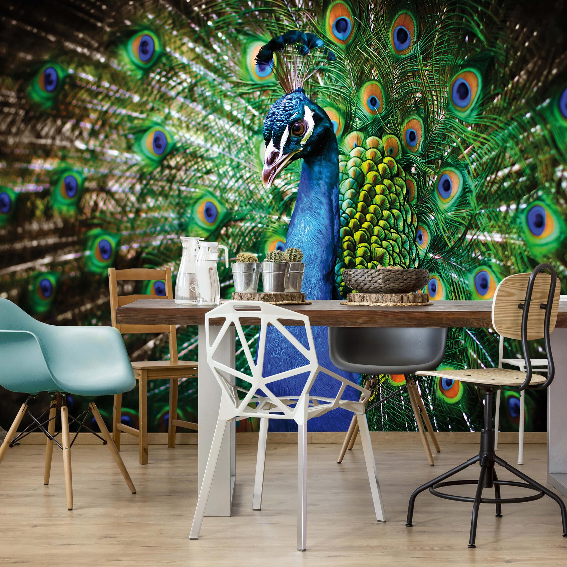 Fototapet Beautiful Peacock - 384x260 cm