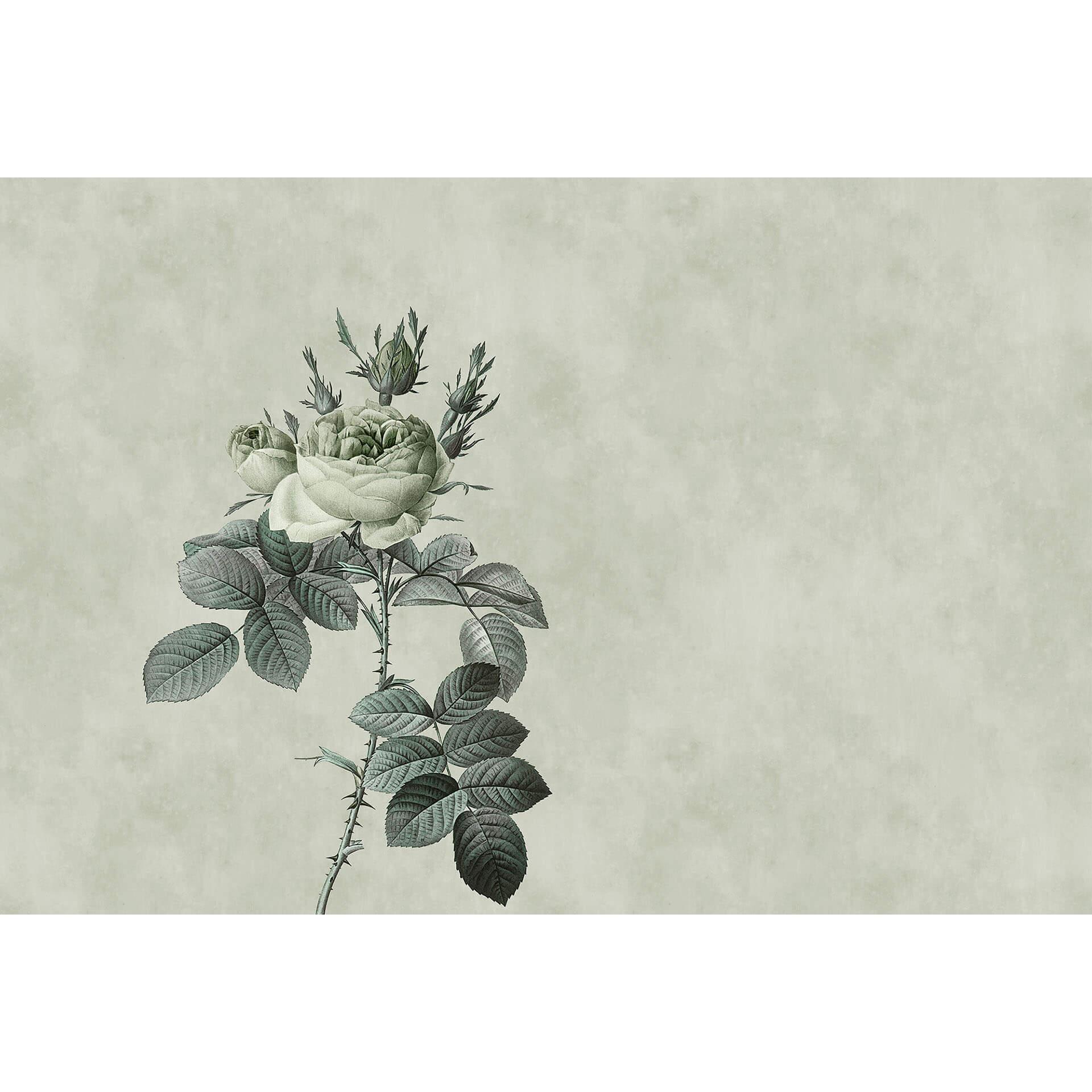 Livingwalls Fotobehang Walls by Patel rose 2