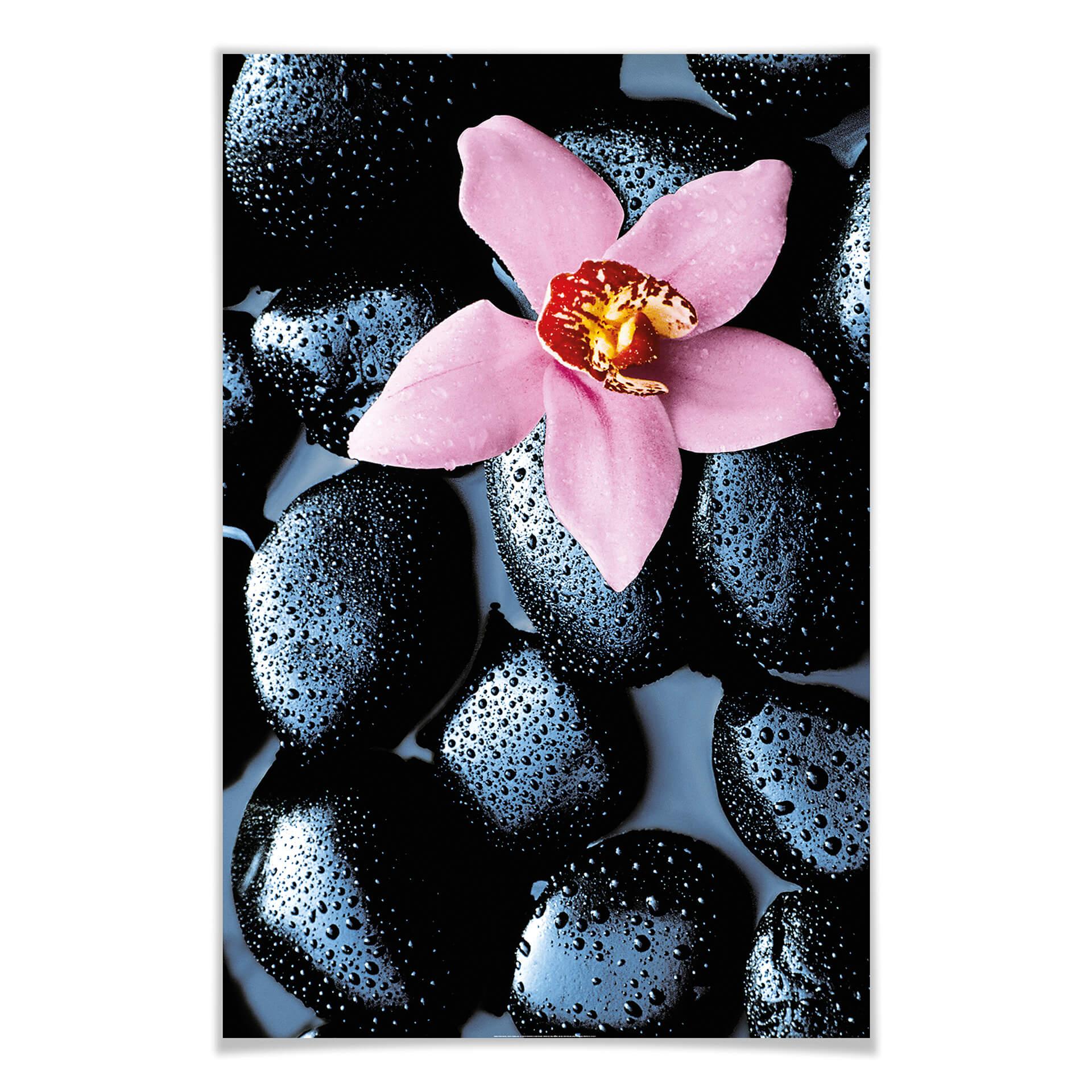 Giant Art® XXL-Poster Stone Orchid - 115x175 cm