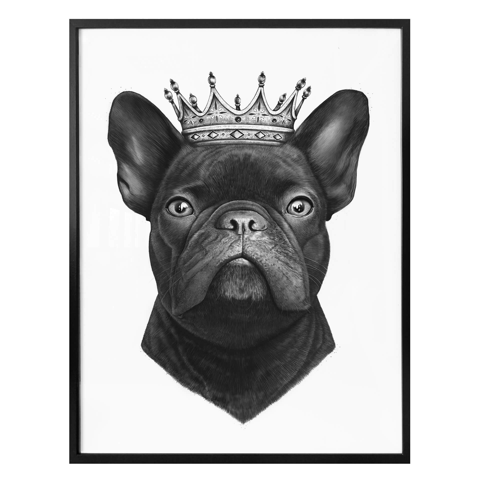 Plakat - Korenkova - King French Bulldog