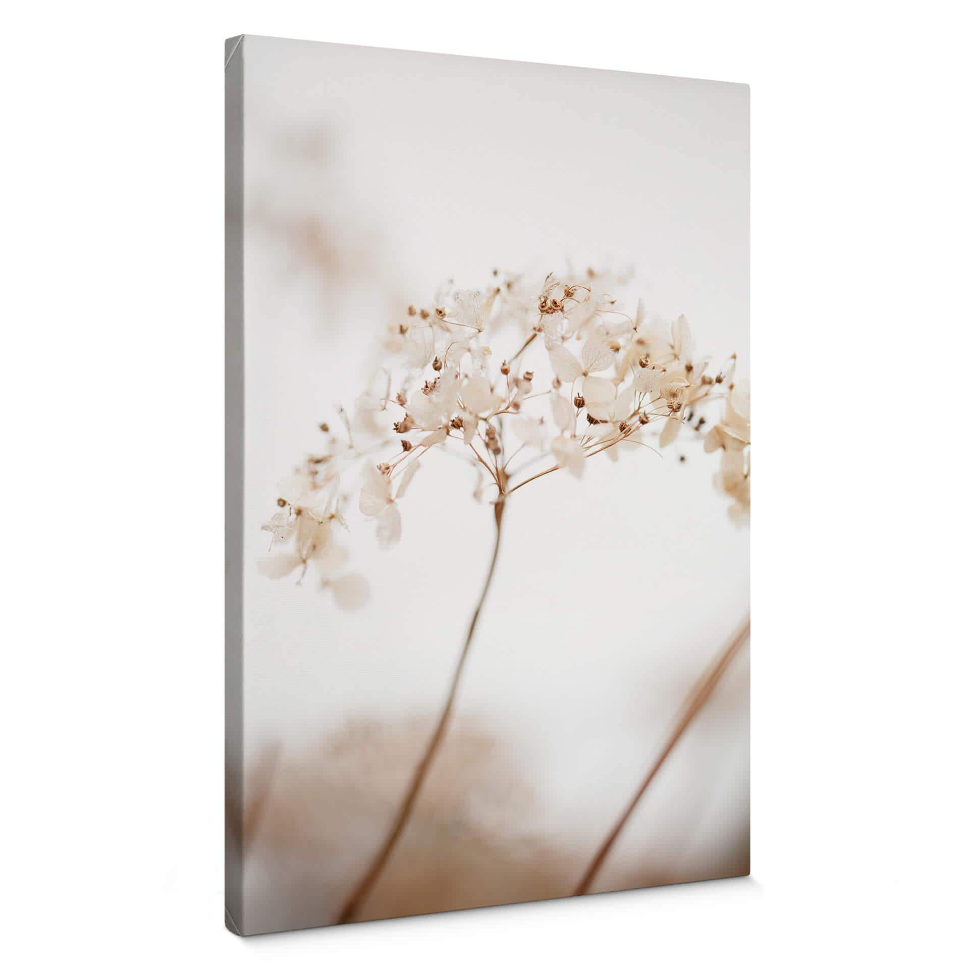 Canvastavla 1X Studio - Kvist med skira blommor