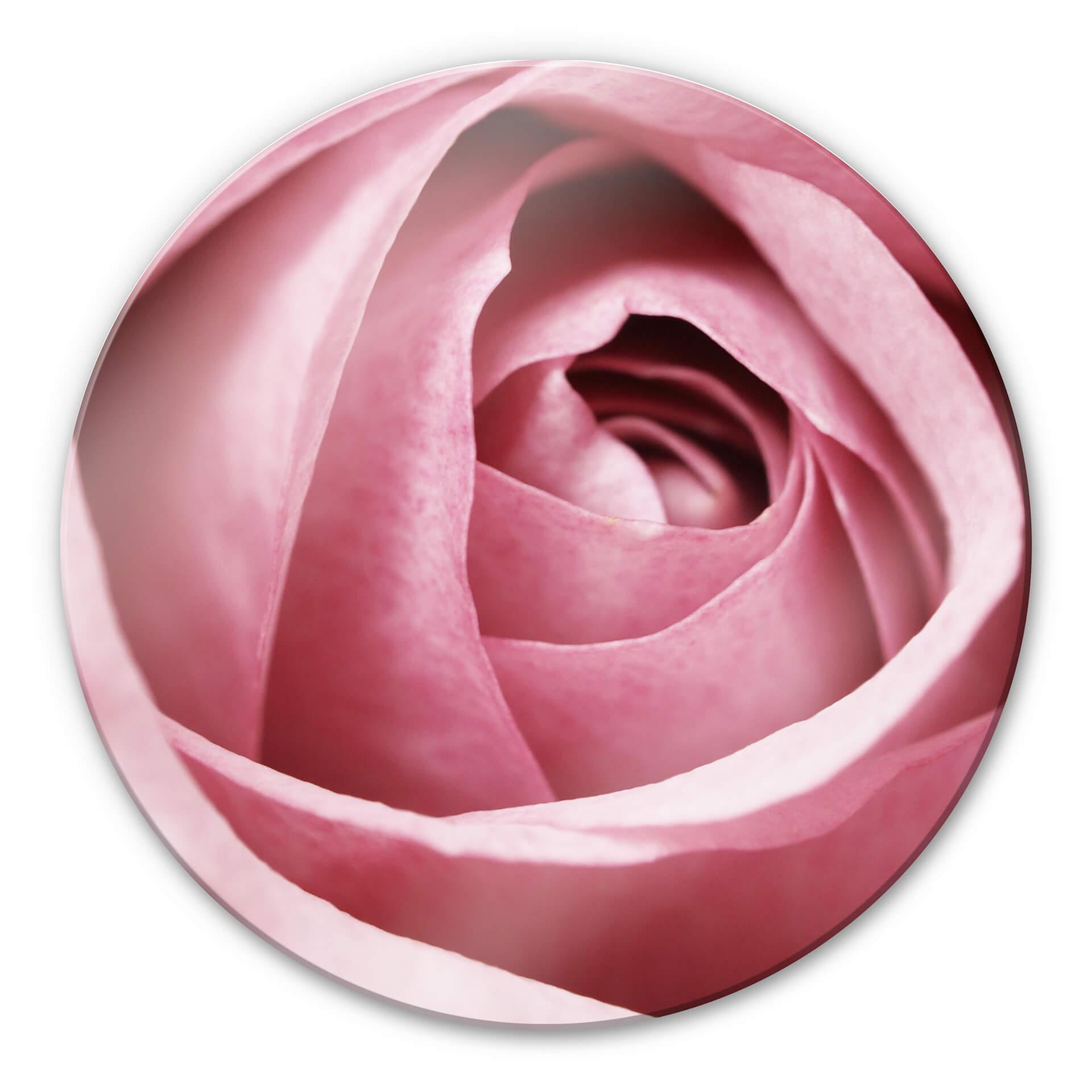 Glasschilderij Pink Rose - rond