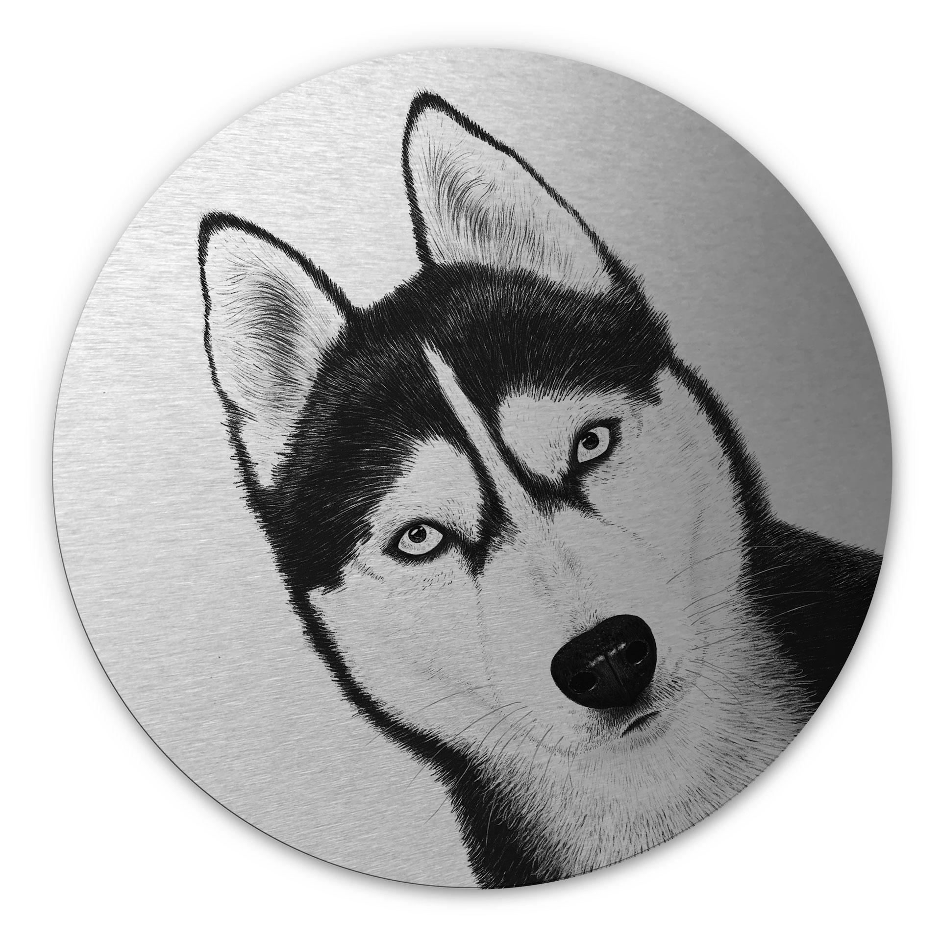 med sølveffekt Siberian husky - Hundeportræt - Korenkova - Rund – print på aluminium
