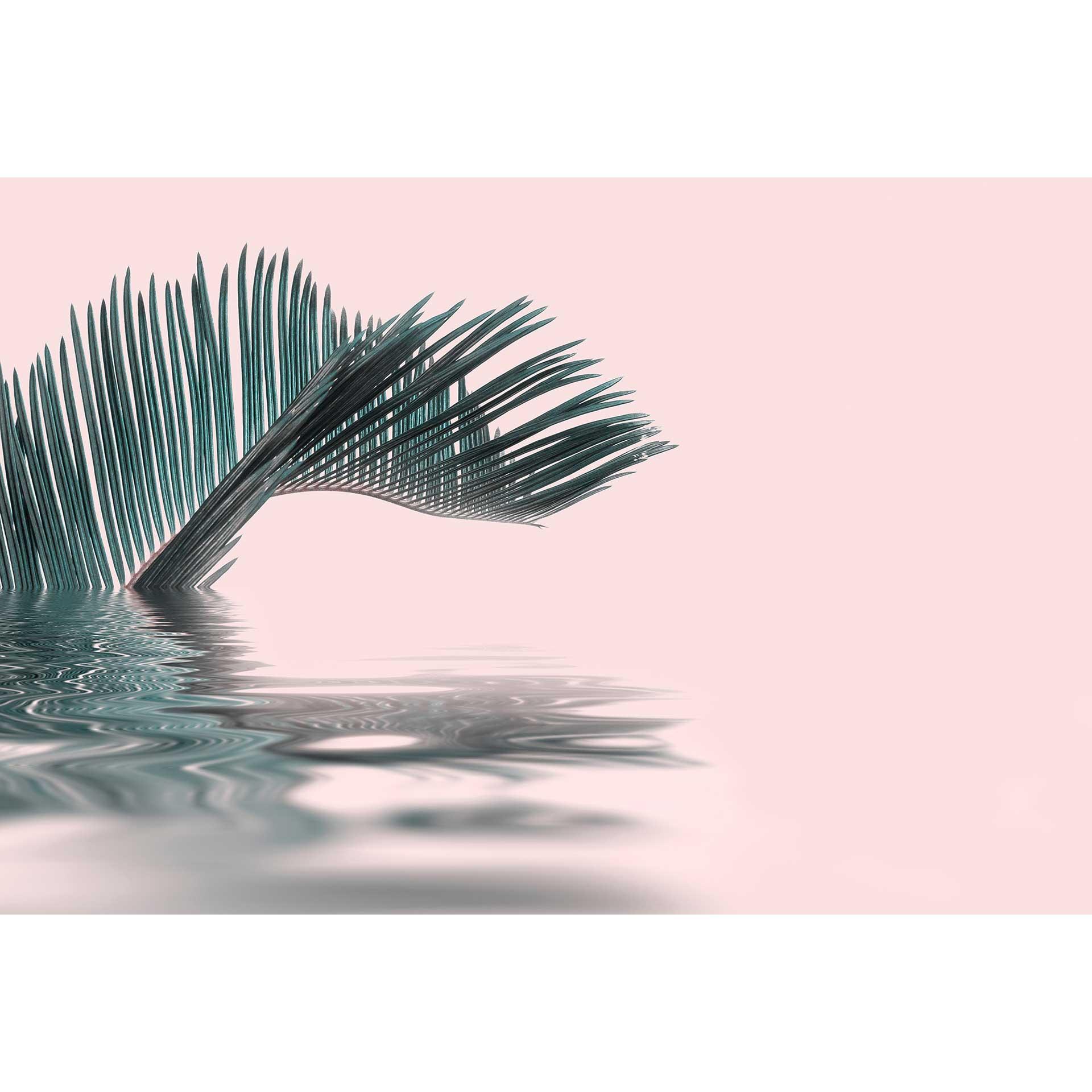 Livingwalls papier peint photo ARTist Palm Leaf Water avec feuille de palmier rose