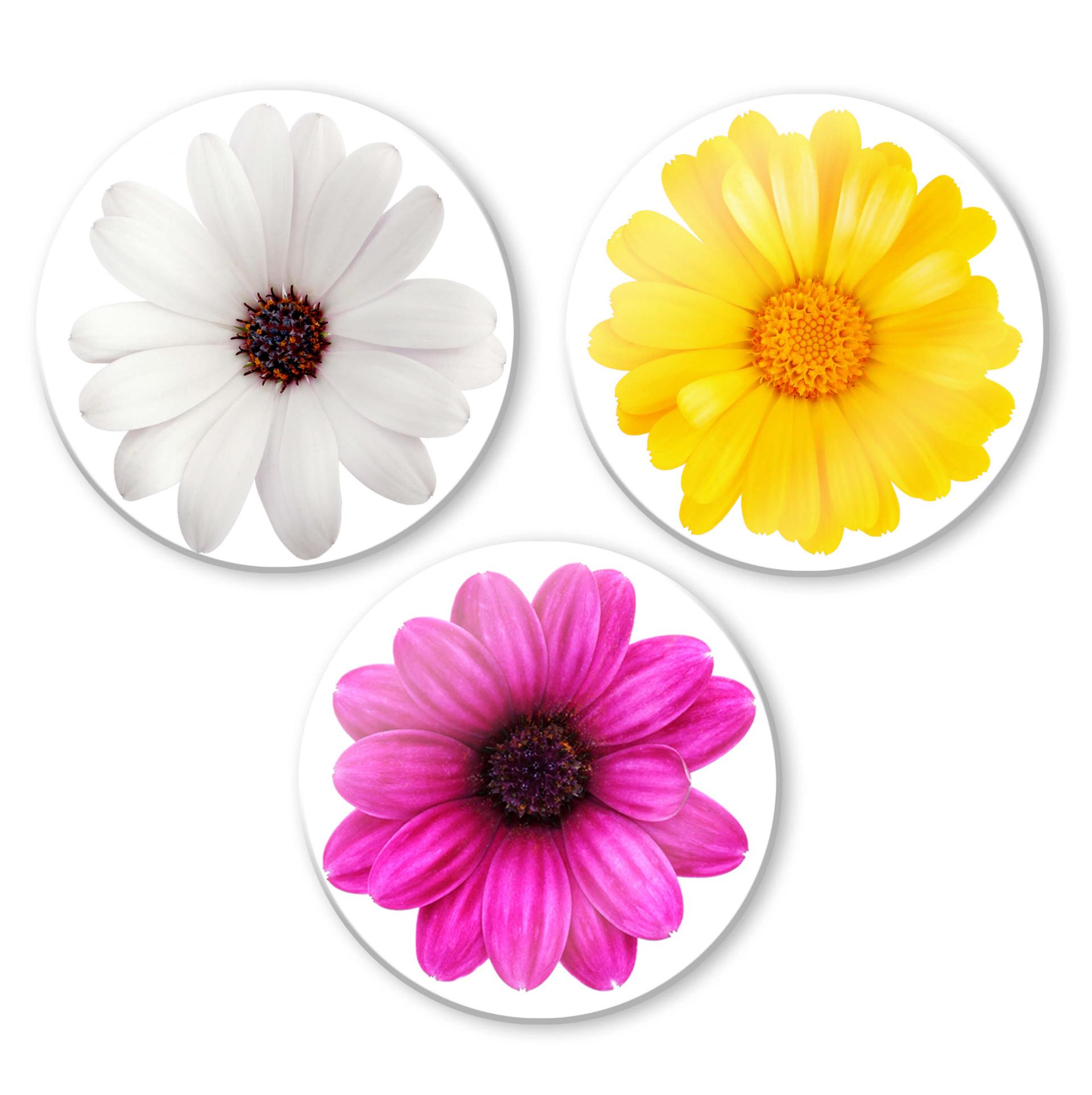 Gerbera Sæt - Rund