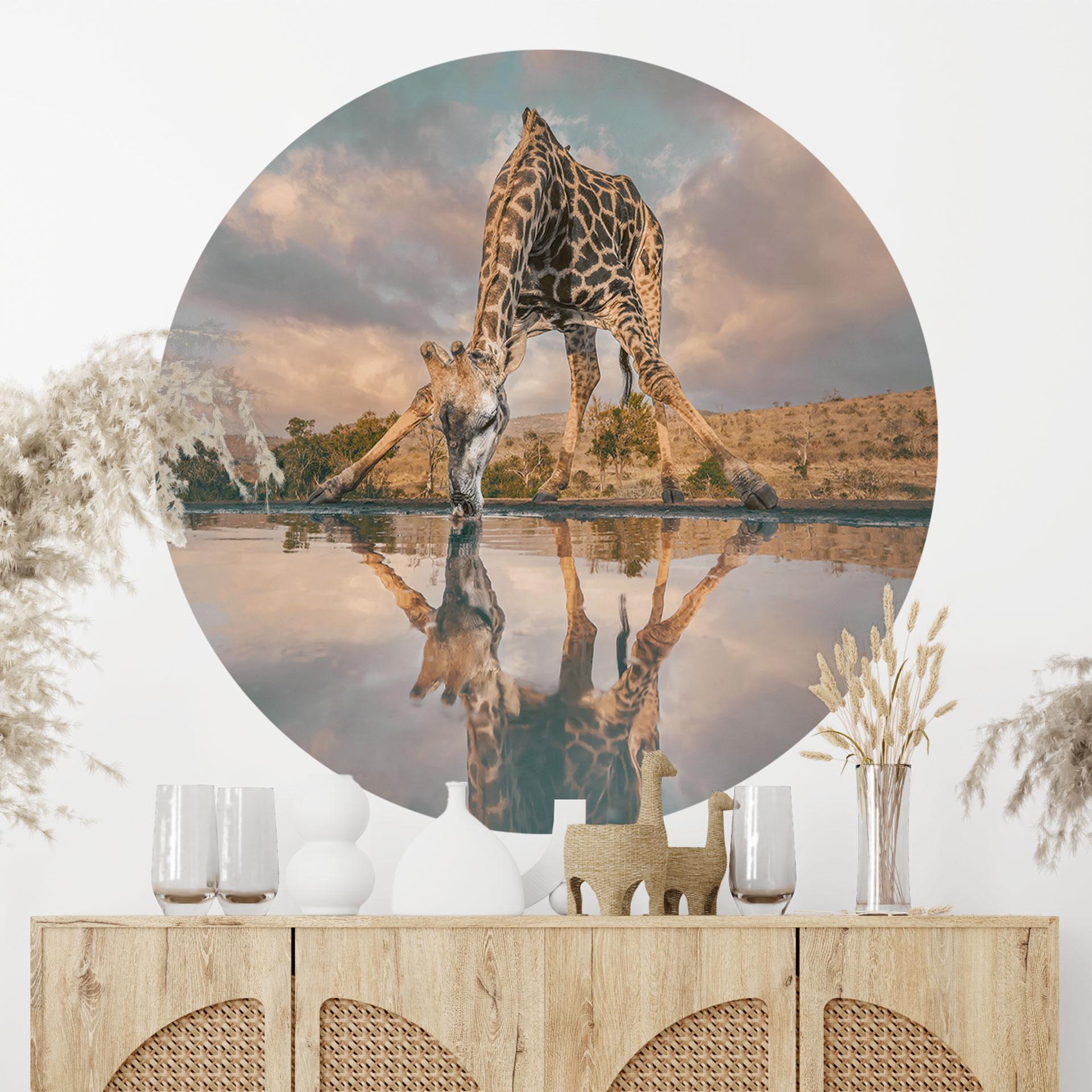 Wallsticker Refleksion af en giraf i naturen - Amtmann - Round