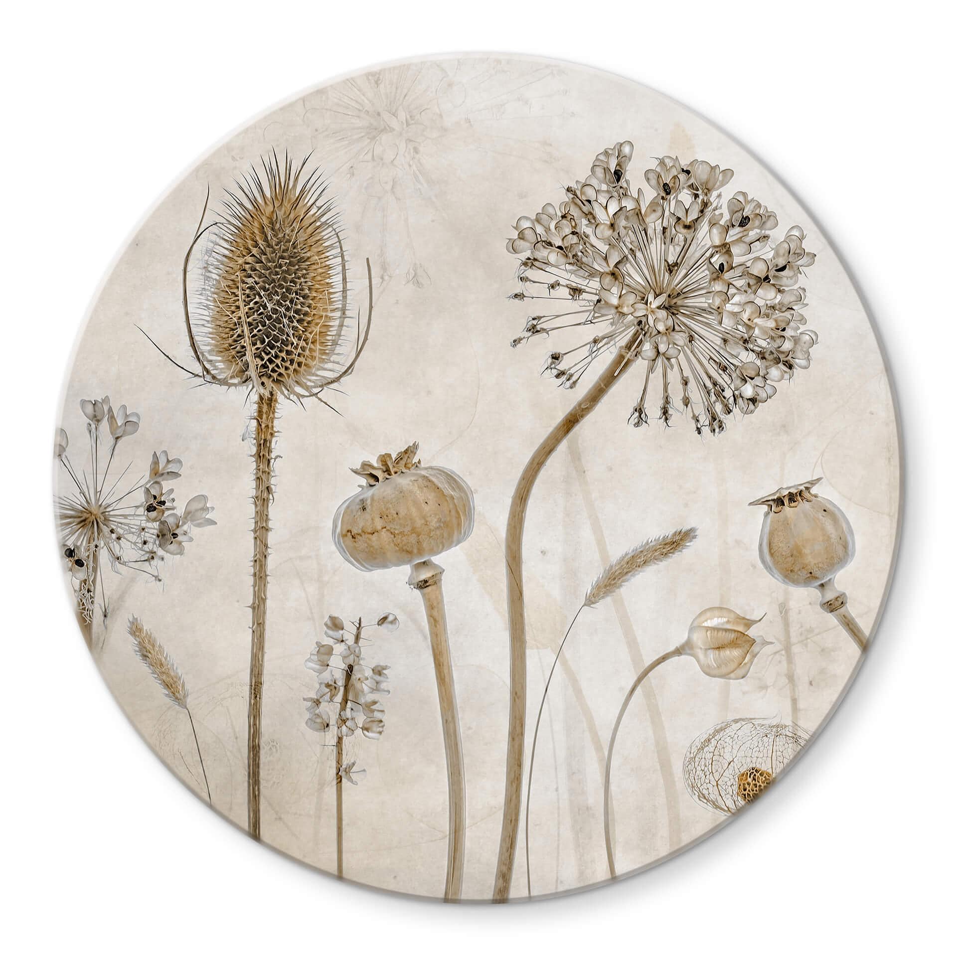Tableau sur verre rond Disher - fleurs séchées