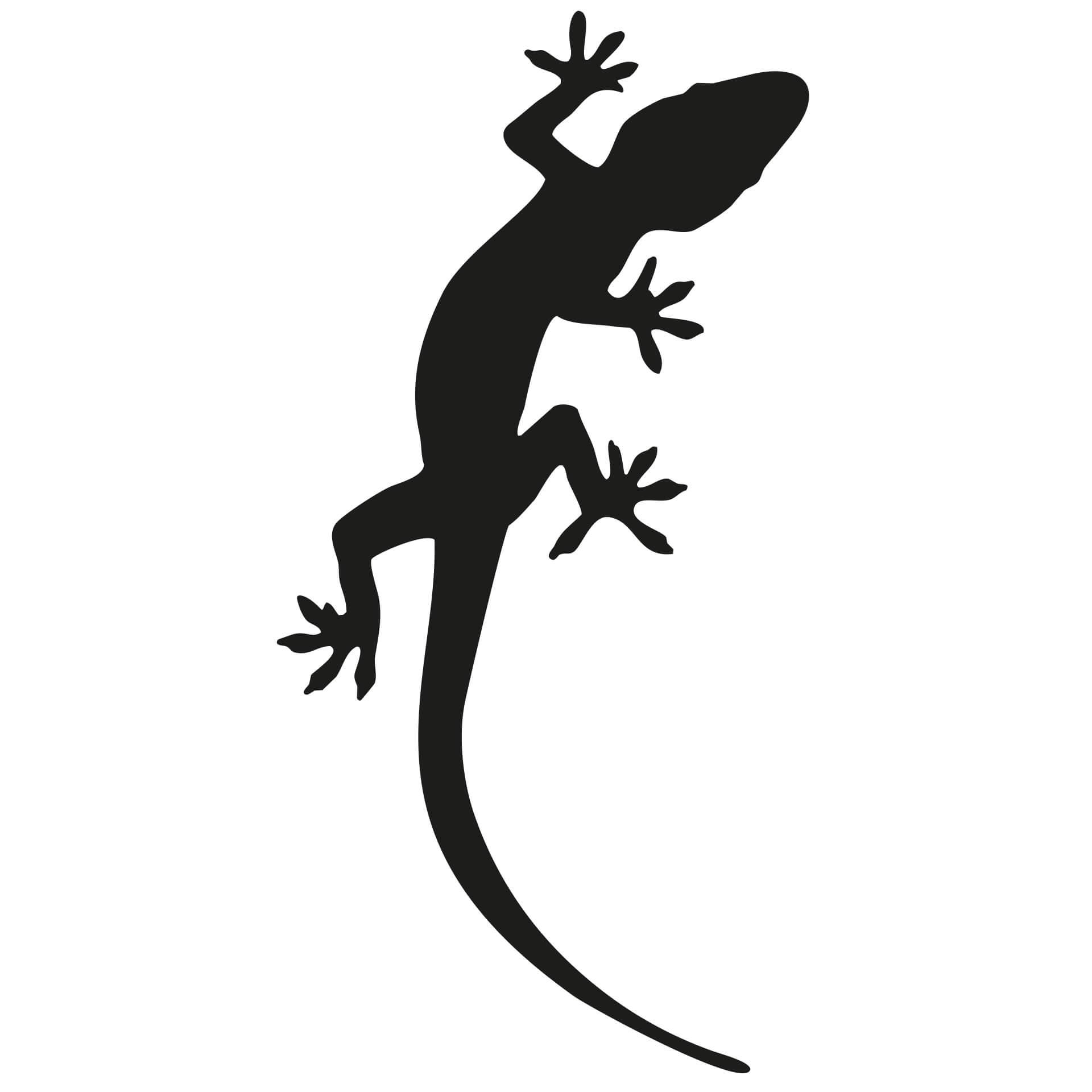 Wandtattoo Gecko 3