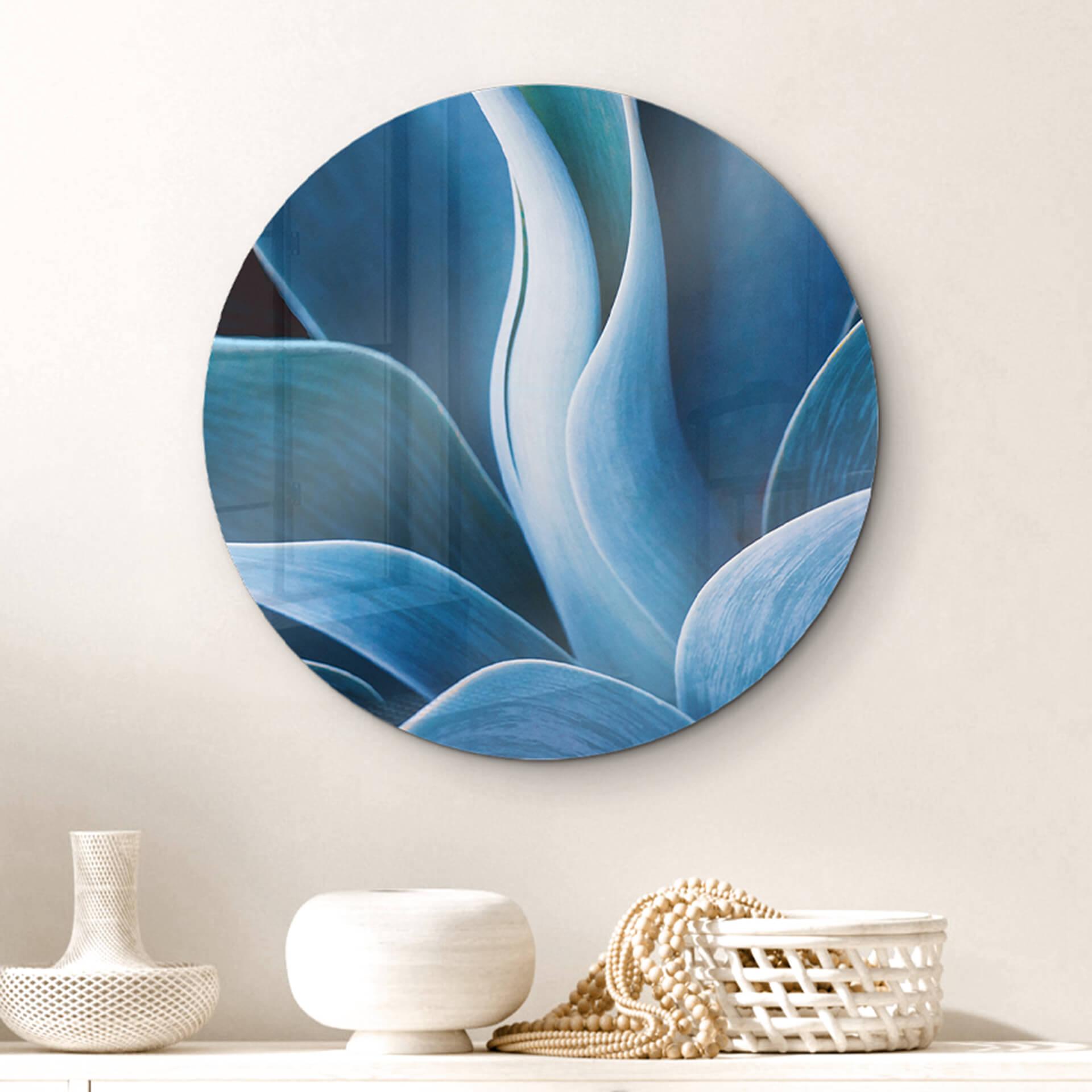 Glasschilderij rond Wechsler - Planten Stilleve Agave