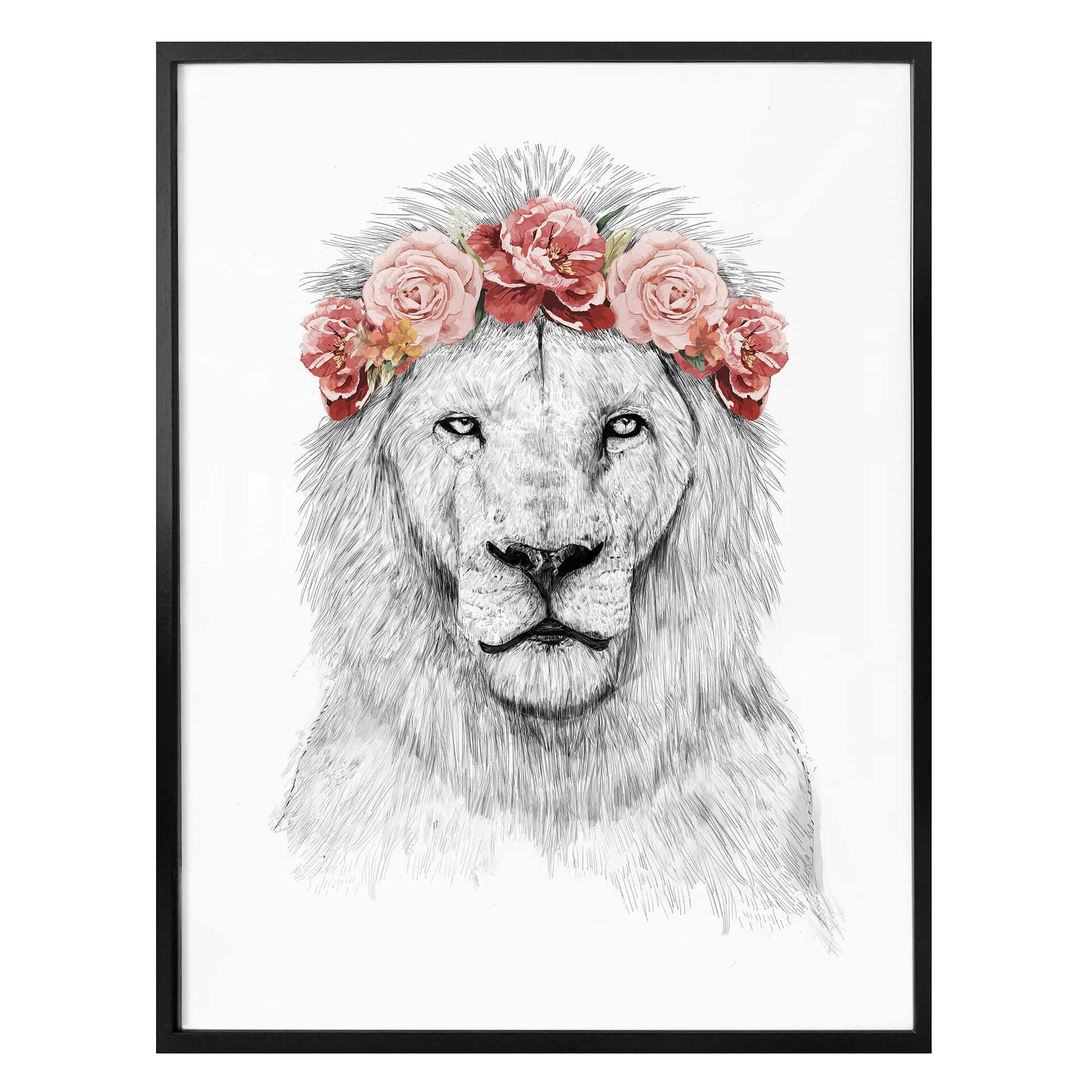 Plakat - Solti - Festival Lion