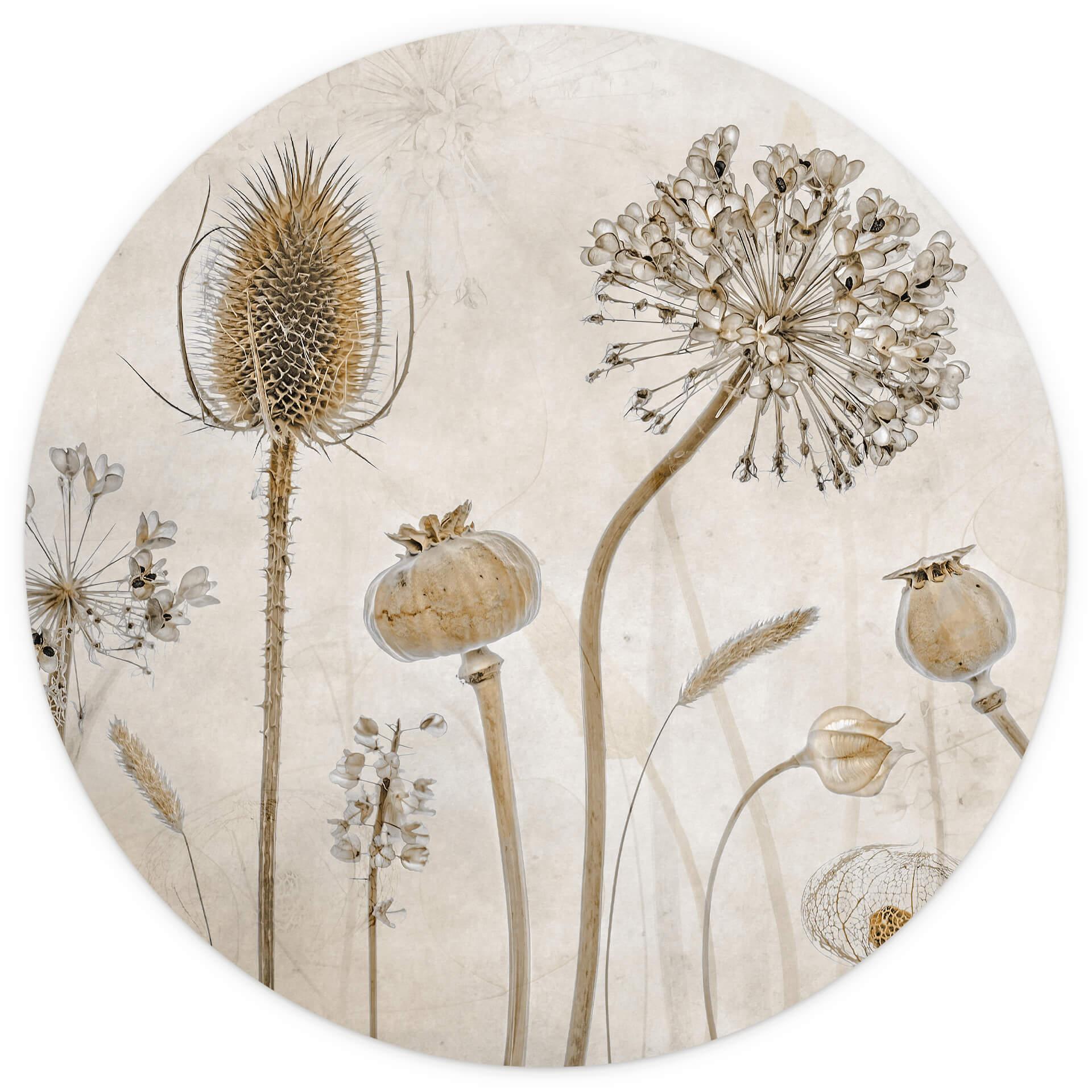 Behangcirkel Disher - Gedroogde Bloemen - vliesbehang/zelfklevend vliesbehang