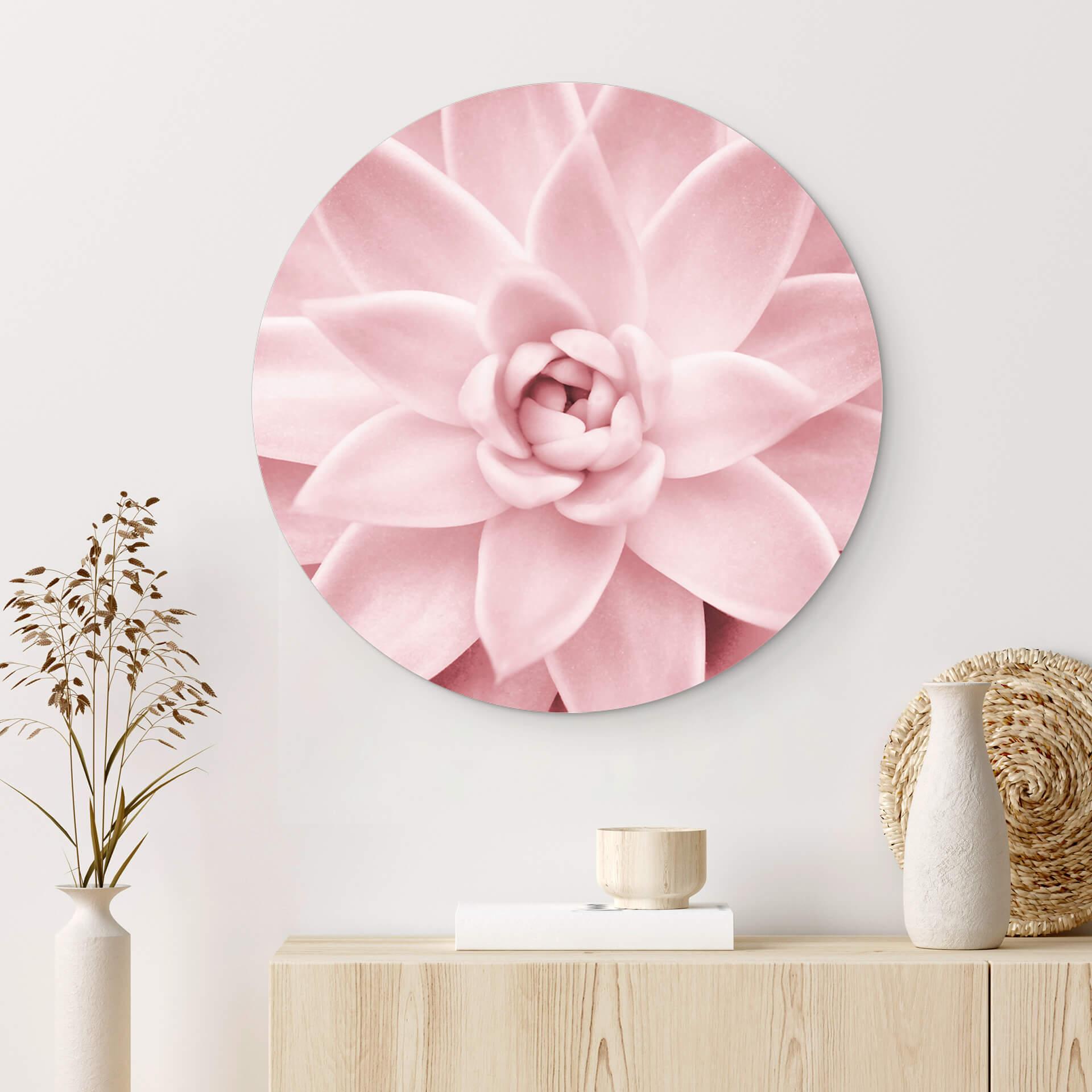 Wandcirkel Sisi & Seb - Roze Succulenten