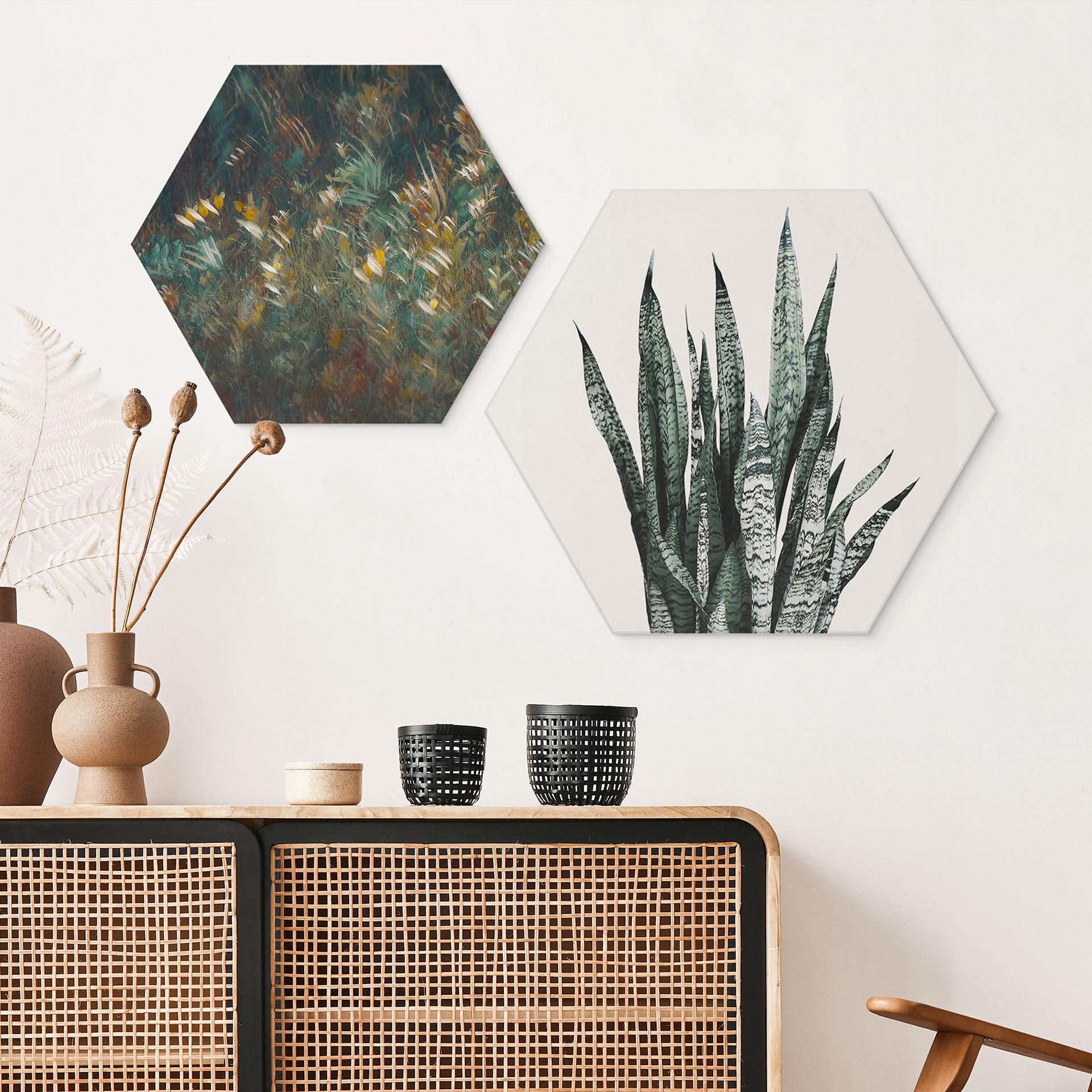 Hexagon Dibond Plante - Sisi & Seb