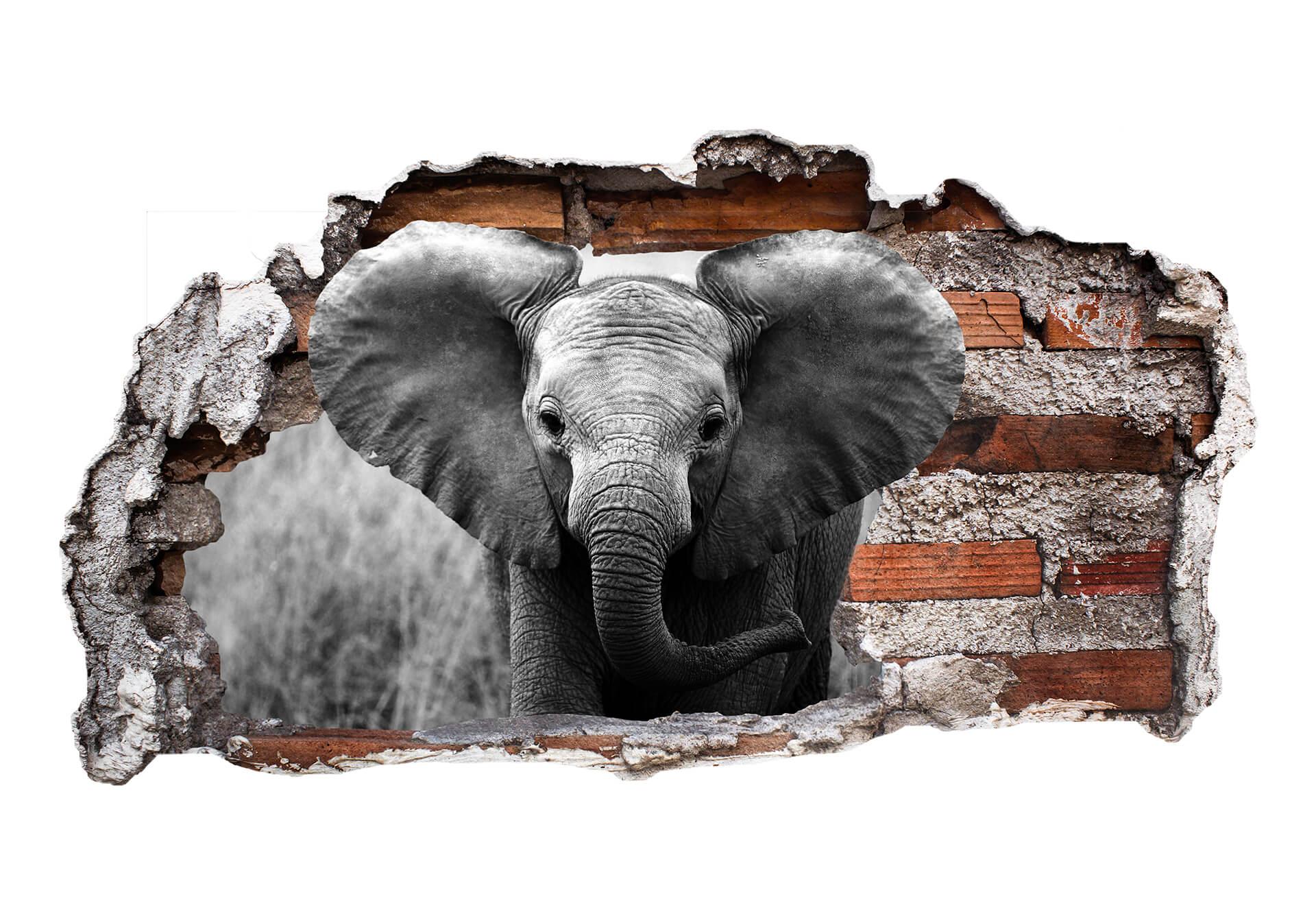 3D Wandtattoo Jumbo der kleine Elefant