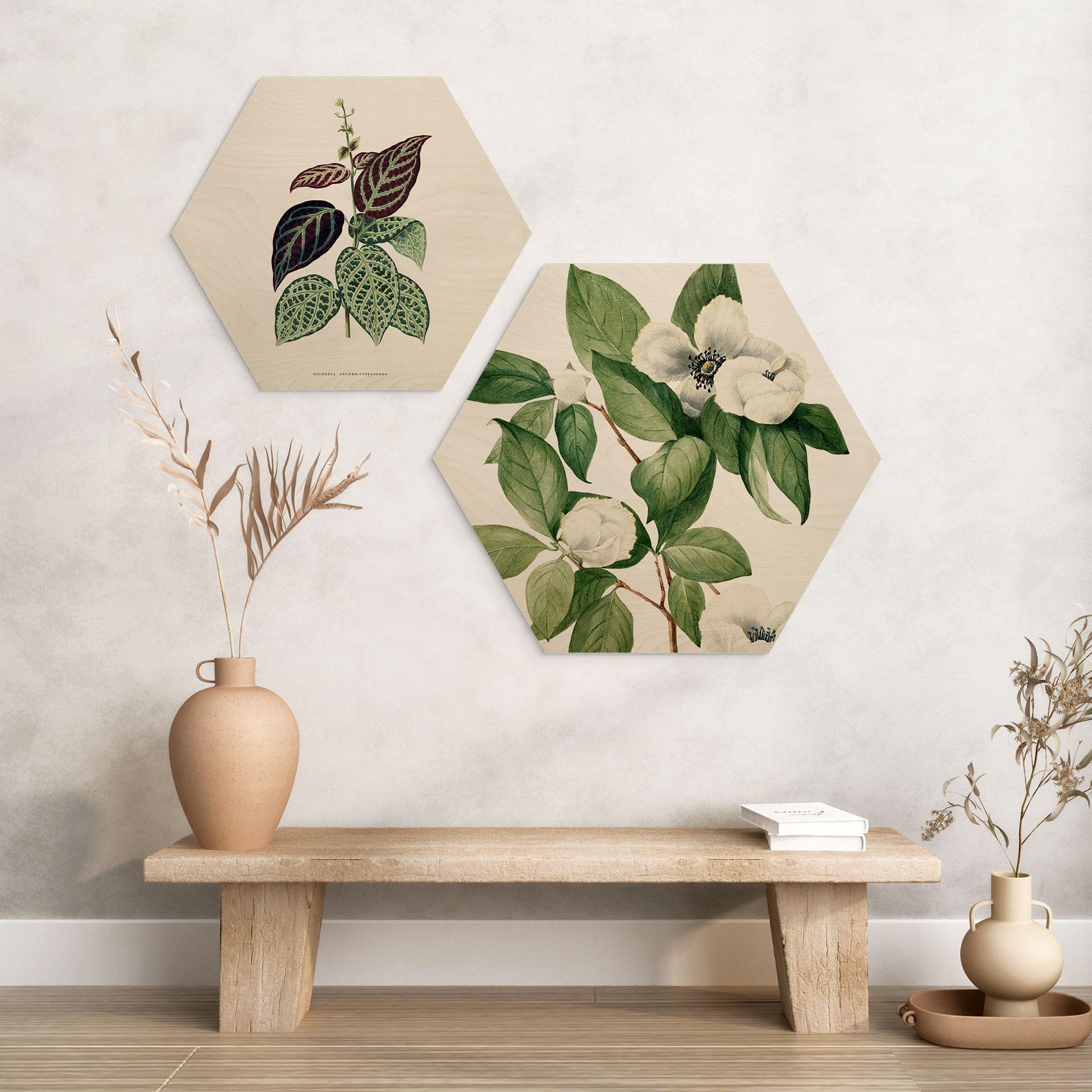 Hexagon Holzbild Botanik Illustration einer Scheinkamelie - Walcott