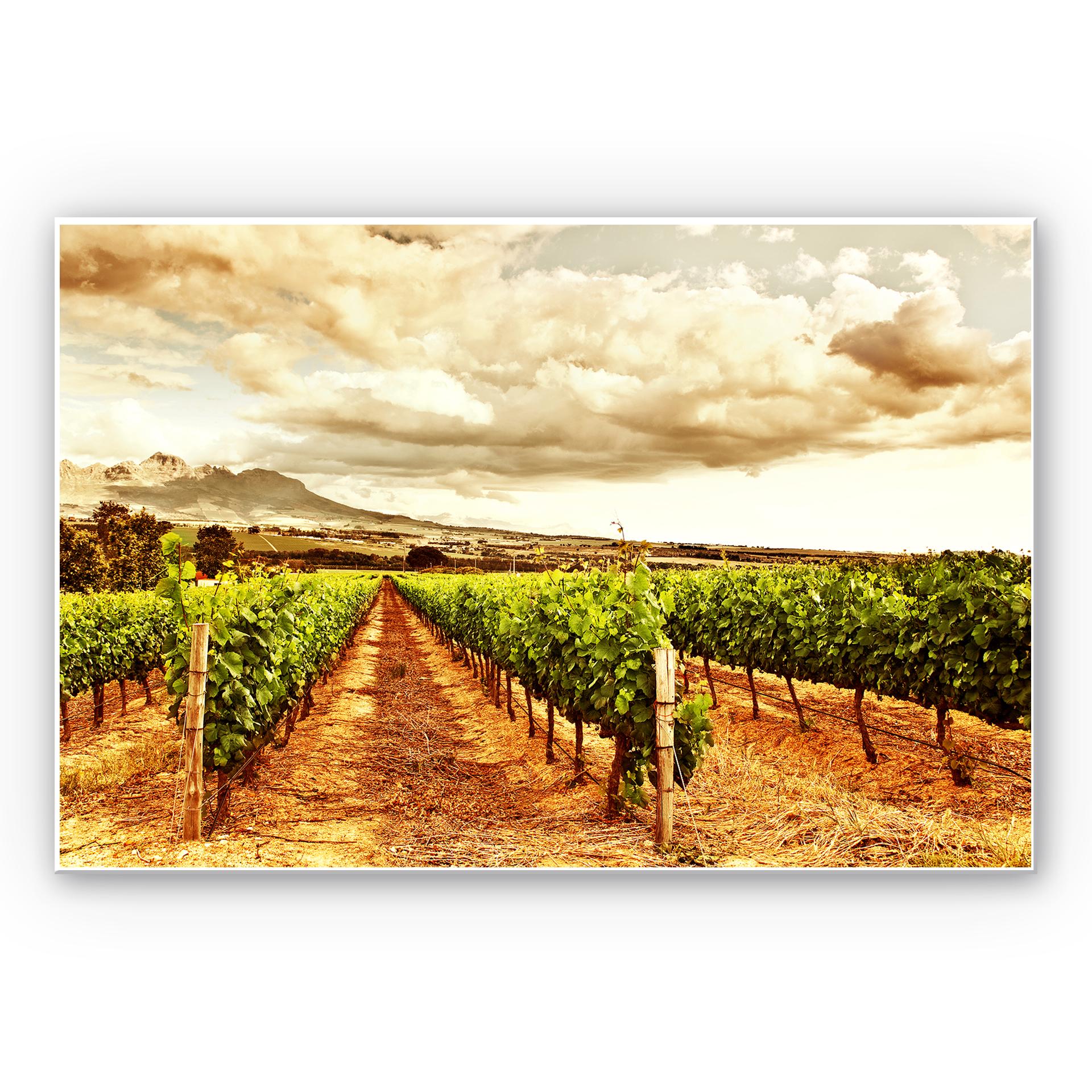 Tableau Forex - Vignes à la montagne