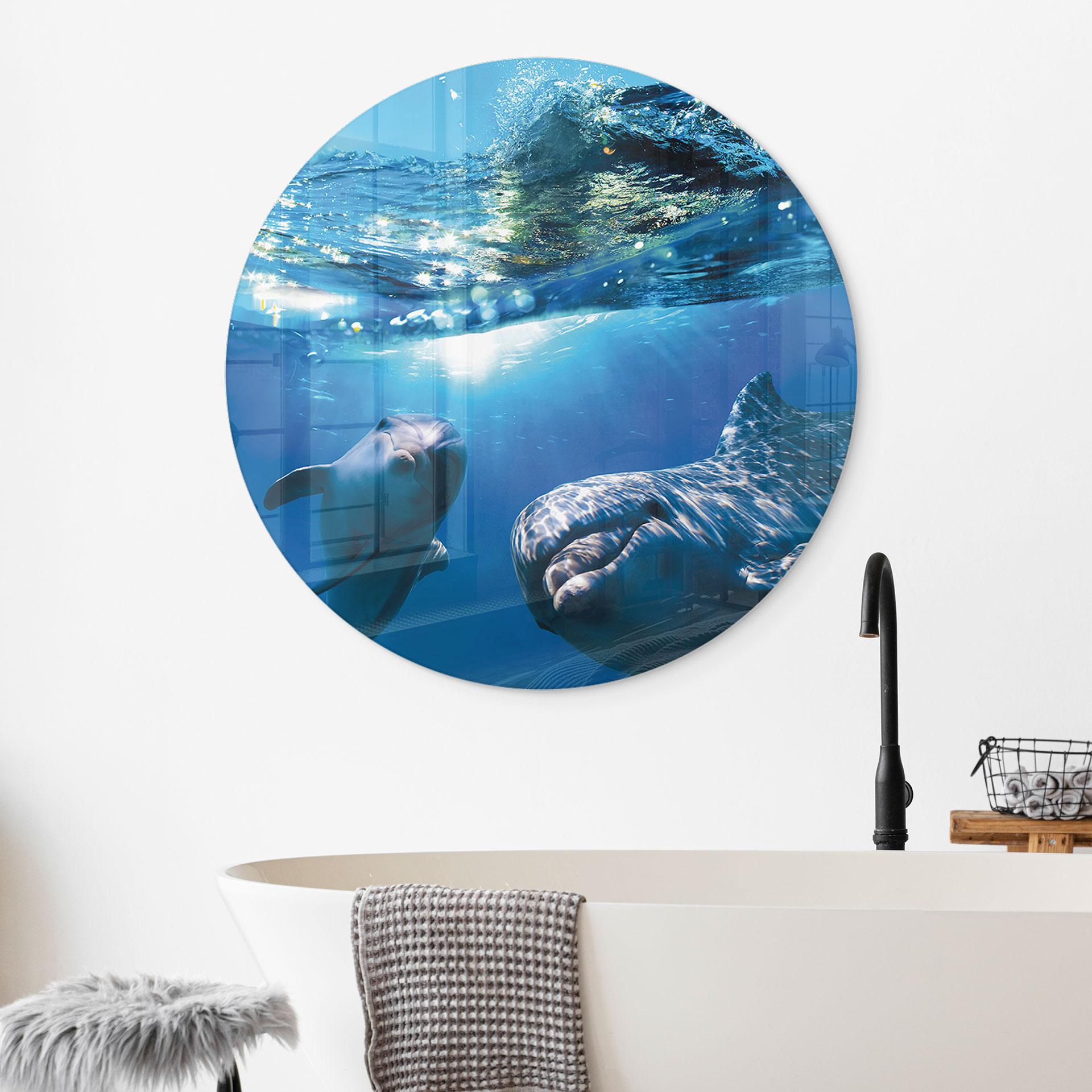 Glasschilderijen Dolfijnen - Rond