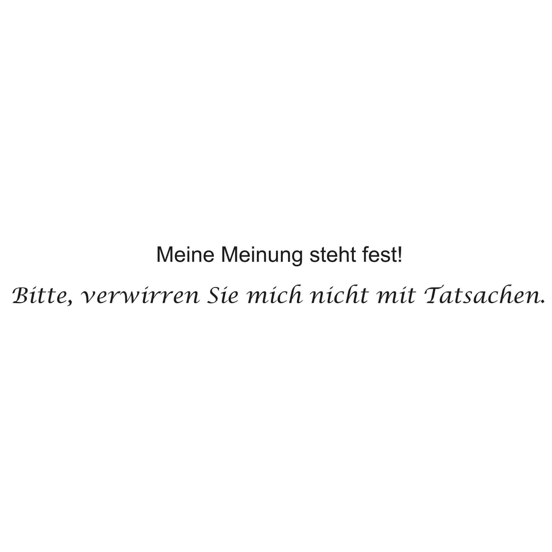 Wandtattoo Meine Meinung steht...