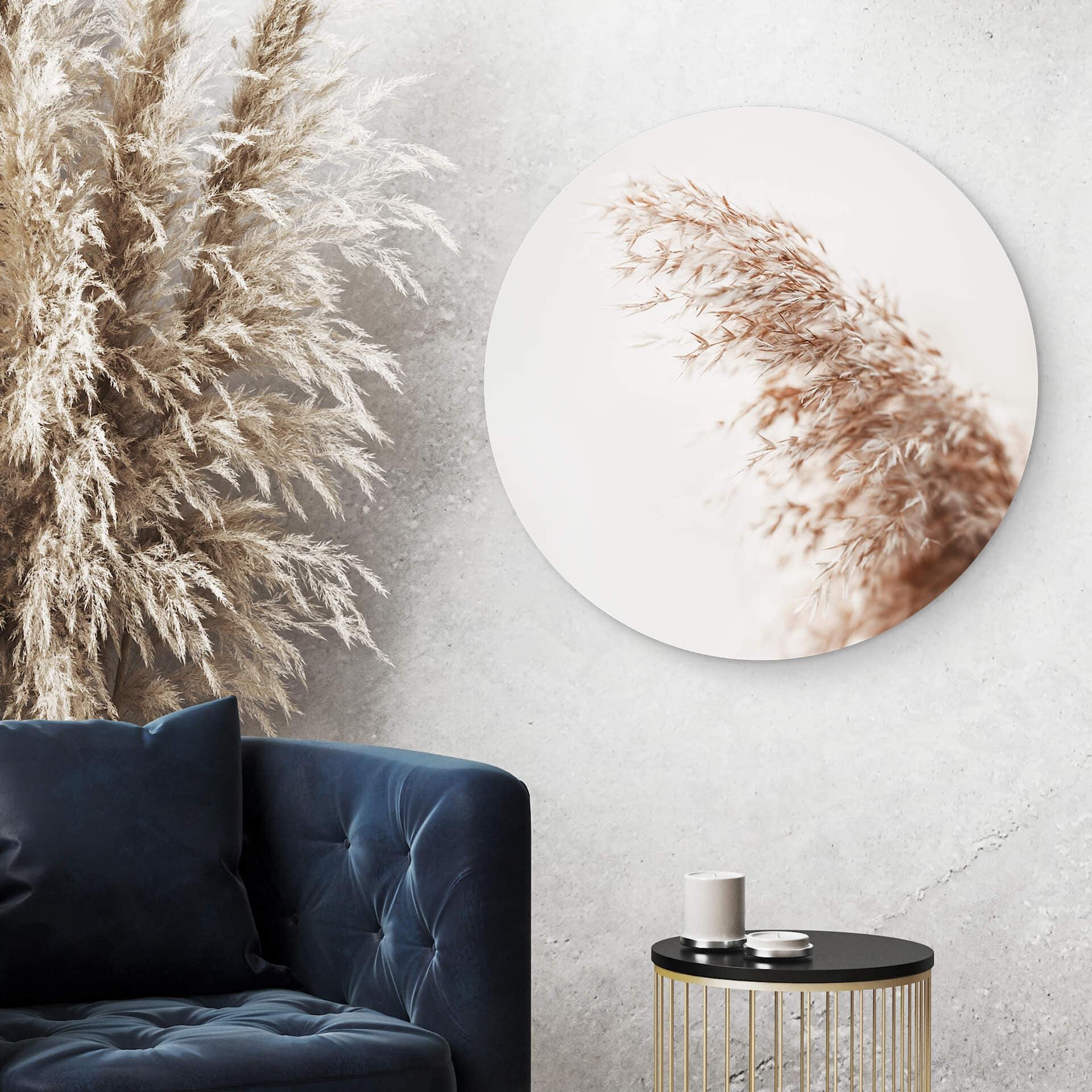 Alu-Dibond Pampas grass - tondo
