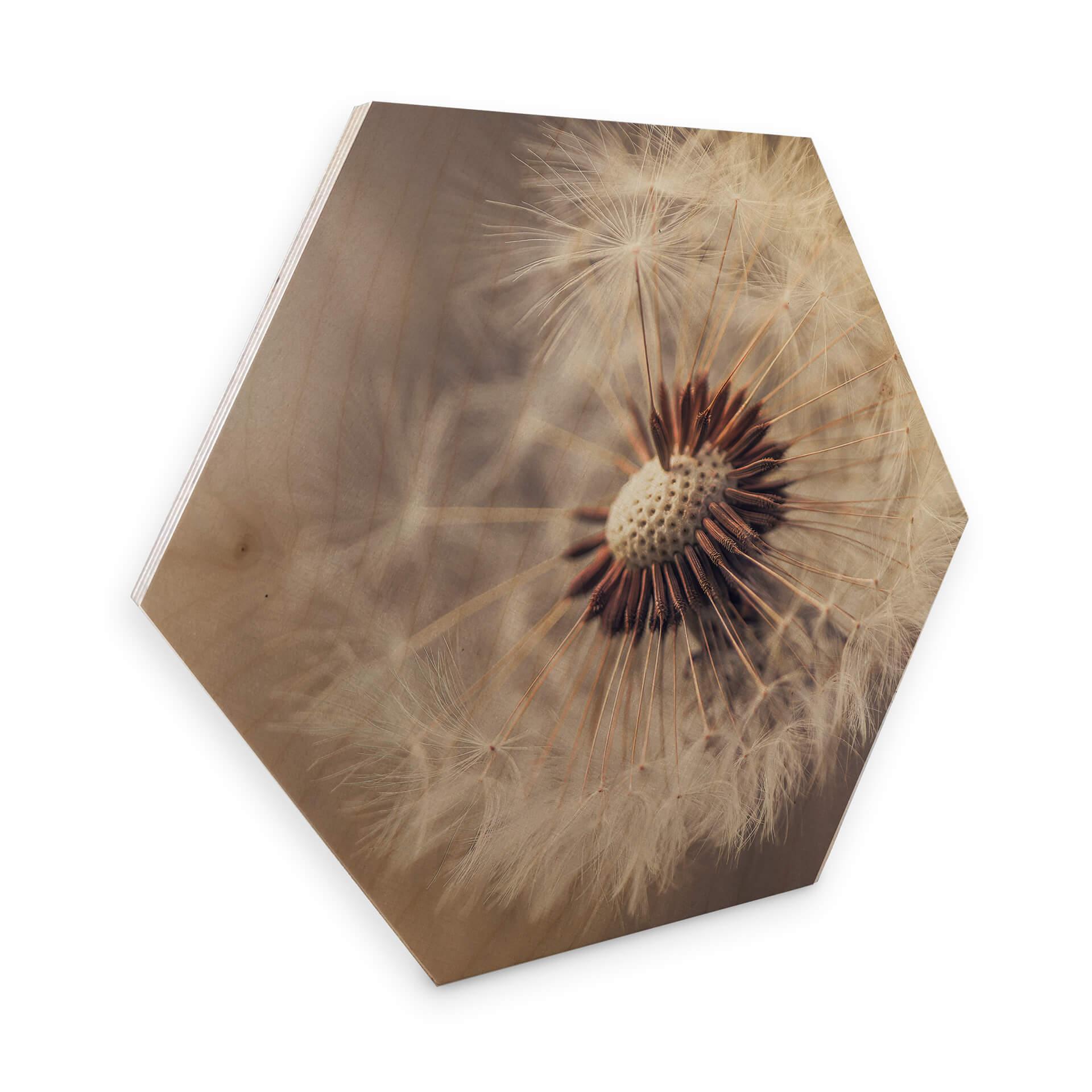 Hexagone - Placage bois de bouleau Delgado - Pissenlits