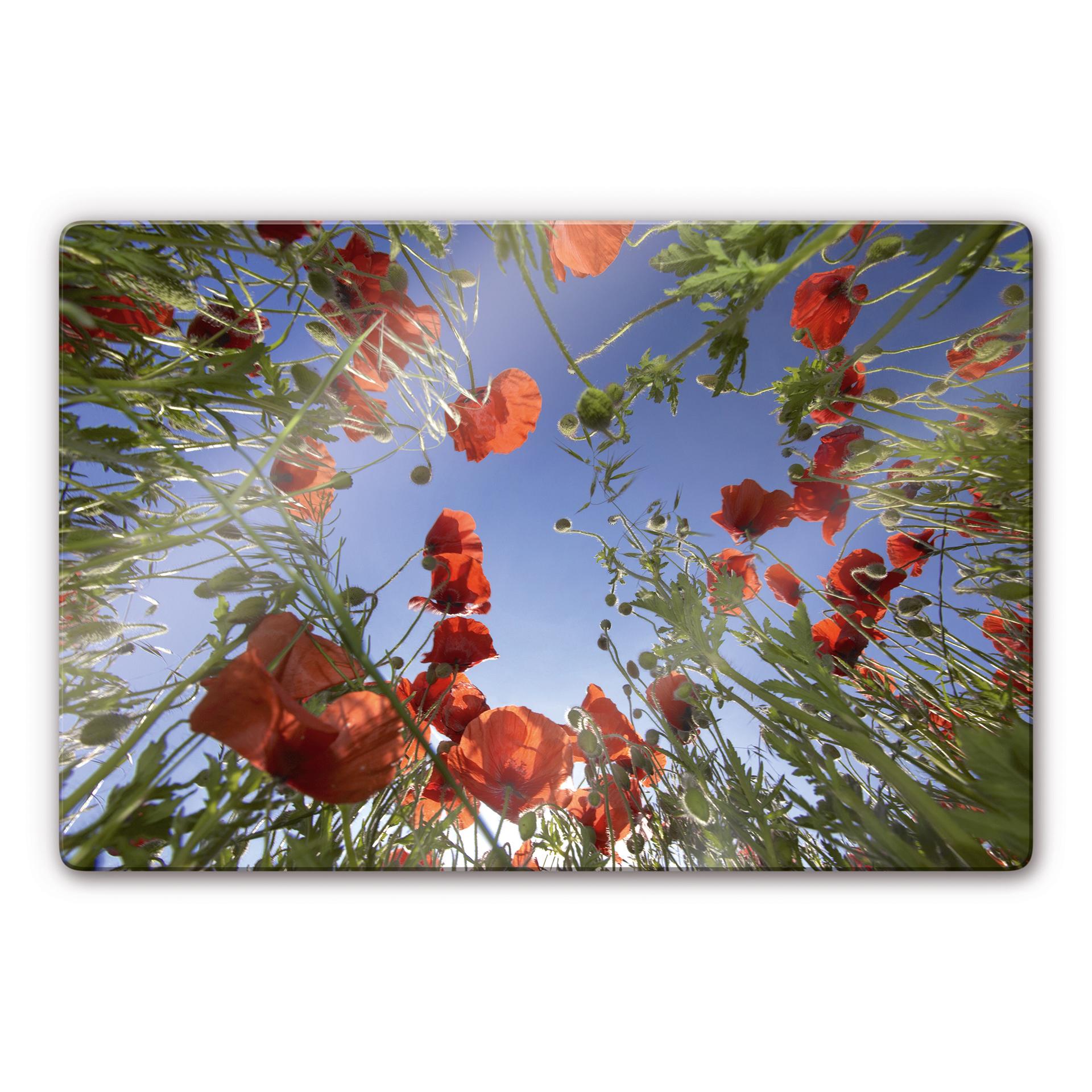 Tableau en verre - Champ de coquelicots
