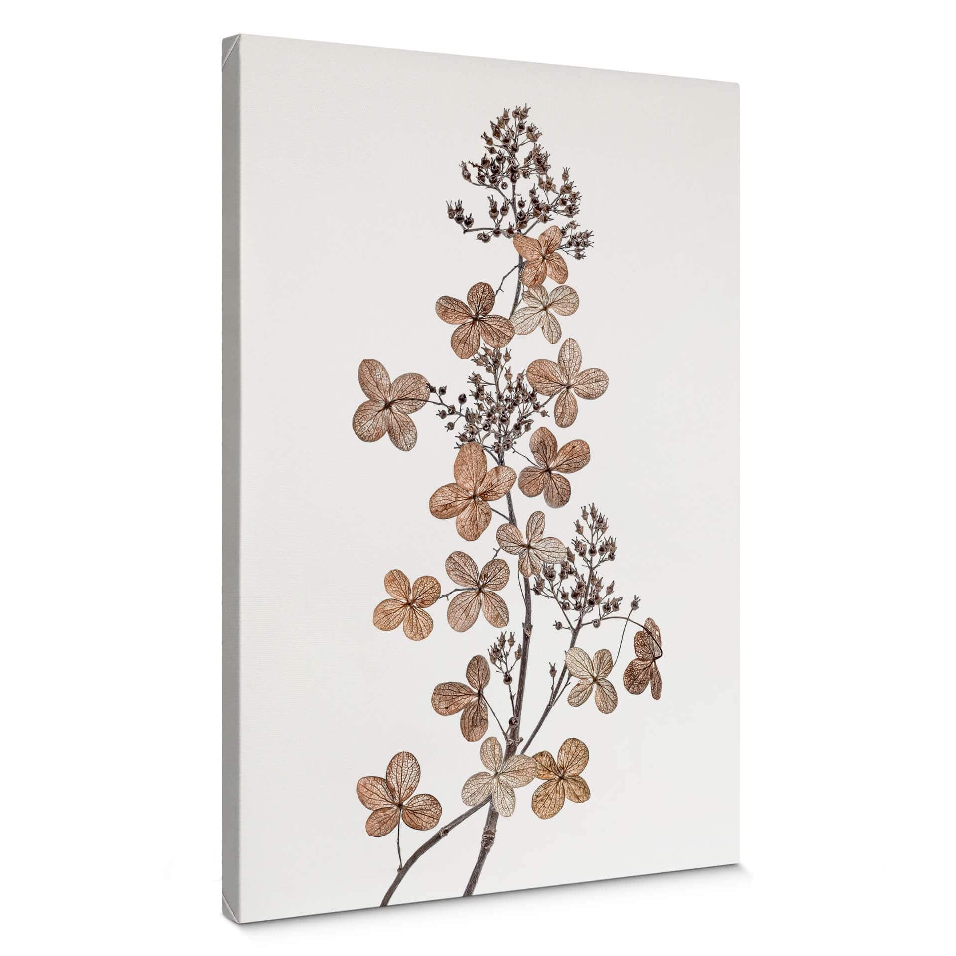 Canvastavla Disher - Hortensia