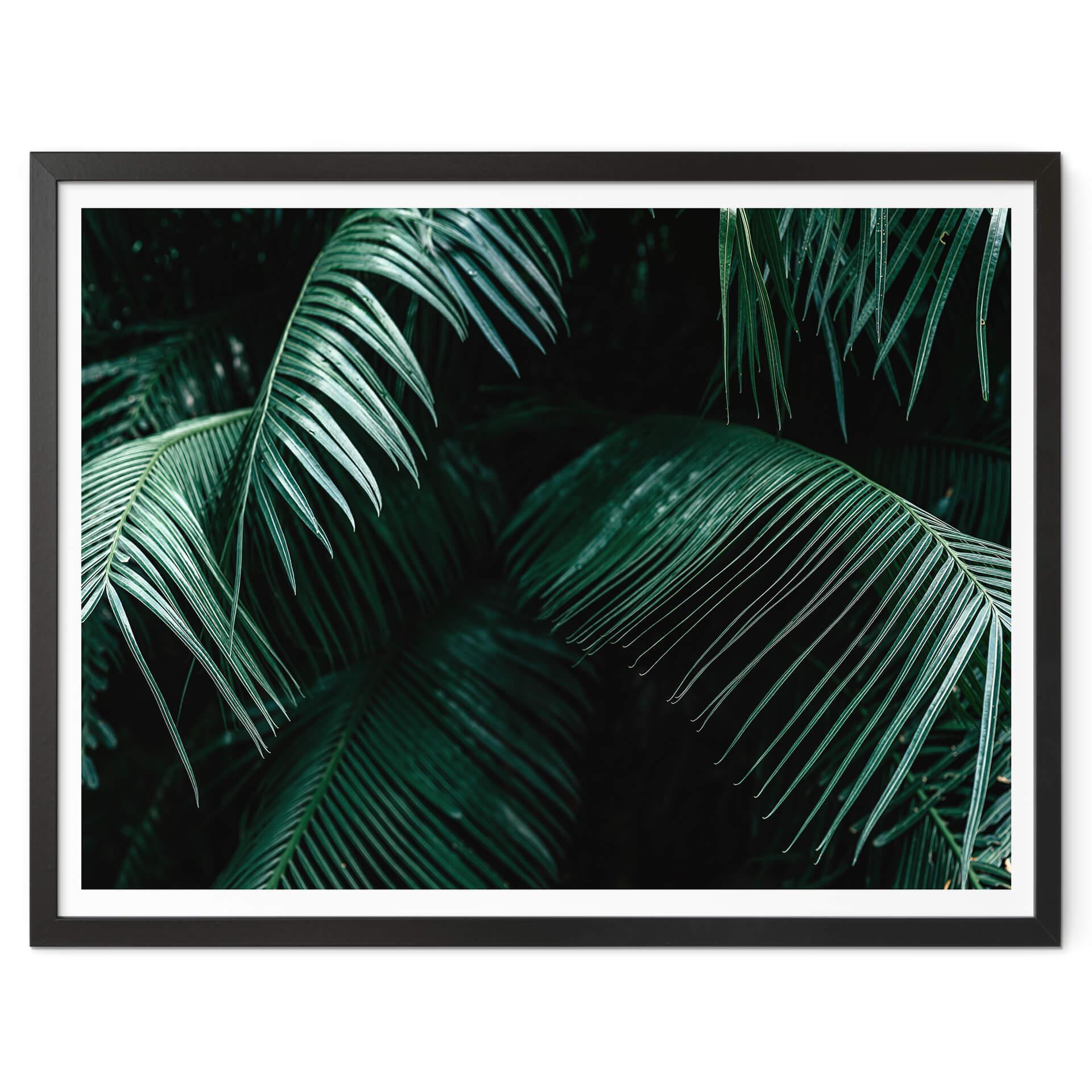 Póster Botánica tropical