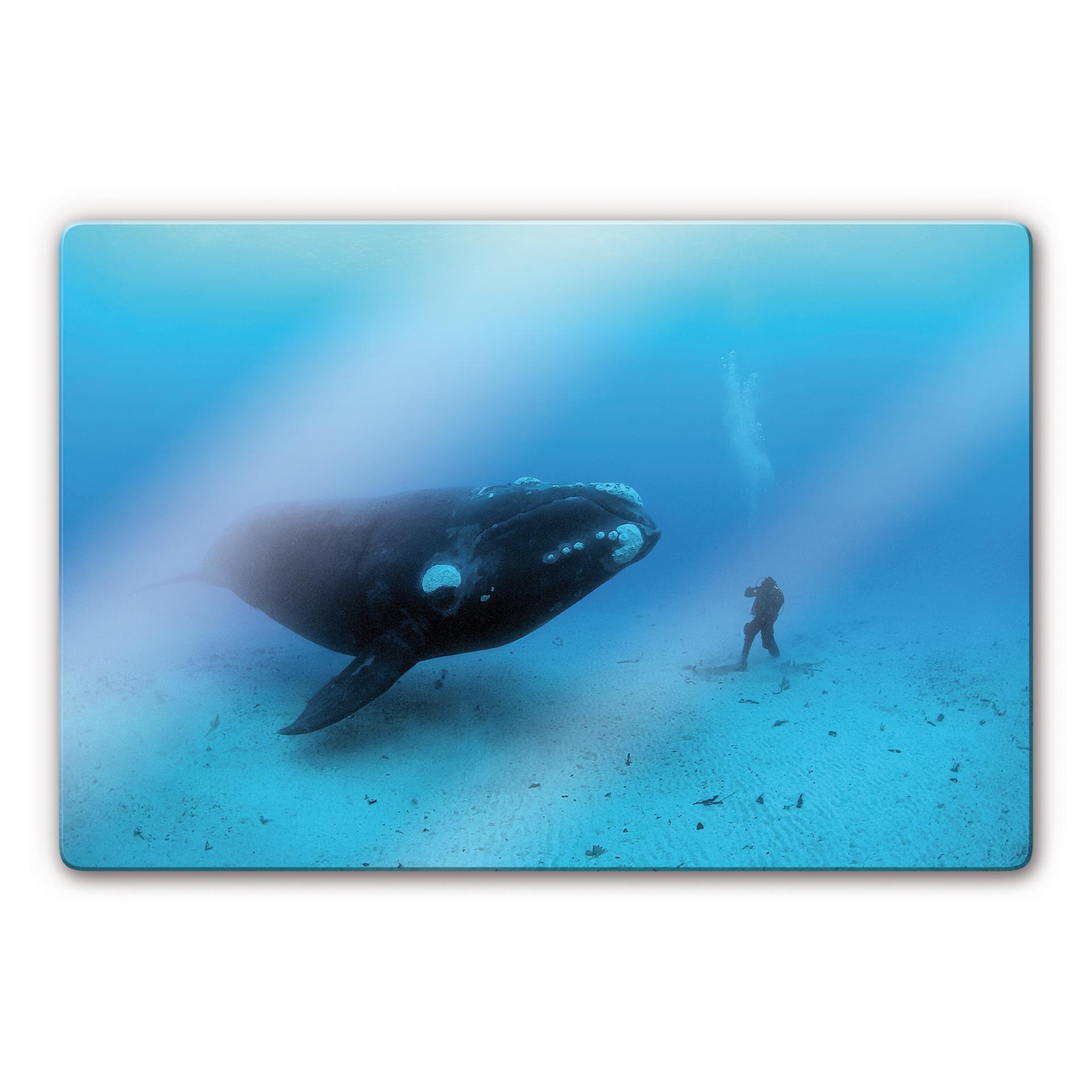 Tableau en verre - NG Baleine avec plongeur