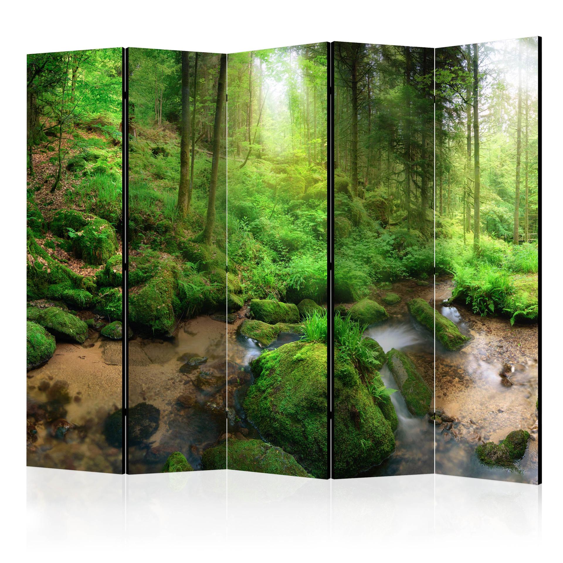 Screen room divider - Fugtig skov , 5-delt - 225x172 cm