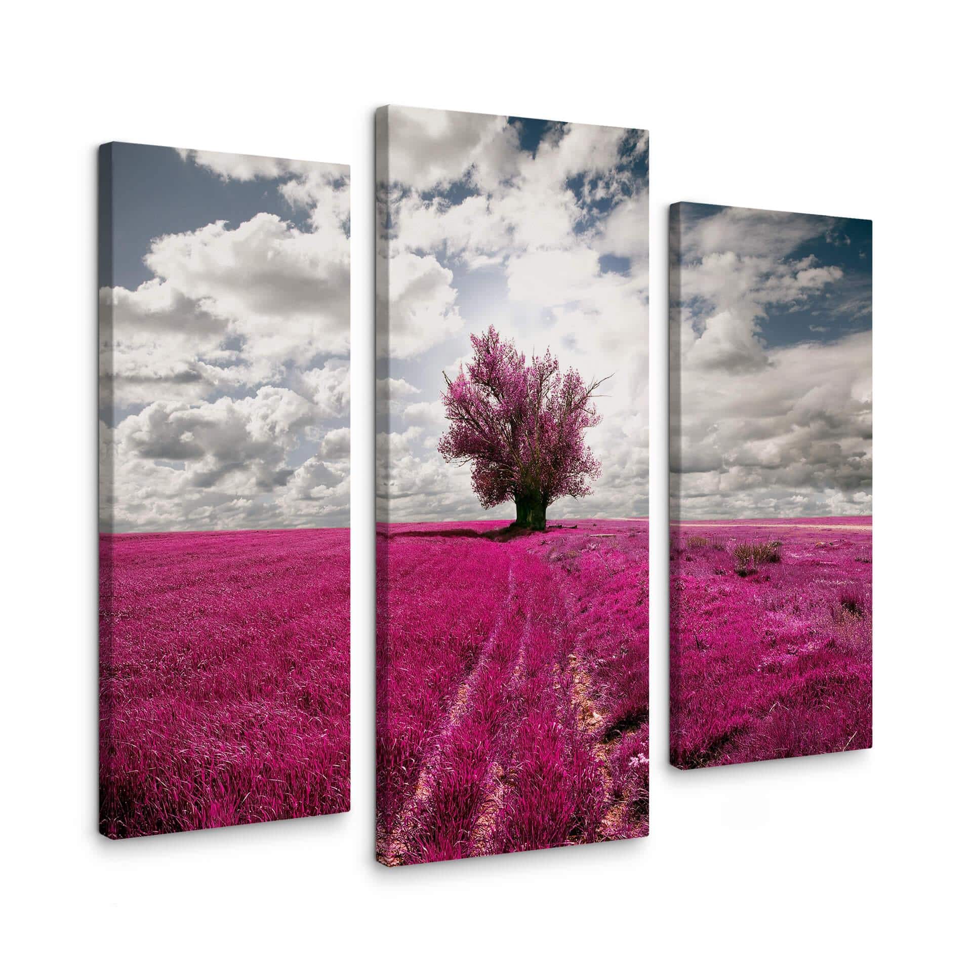 Tableau sur toile - The Lonely Tree (tryptique)