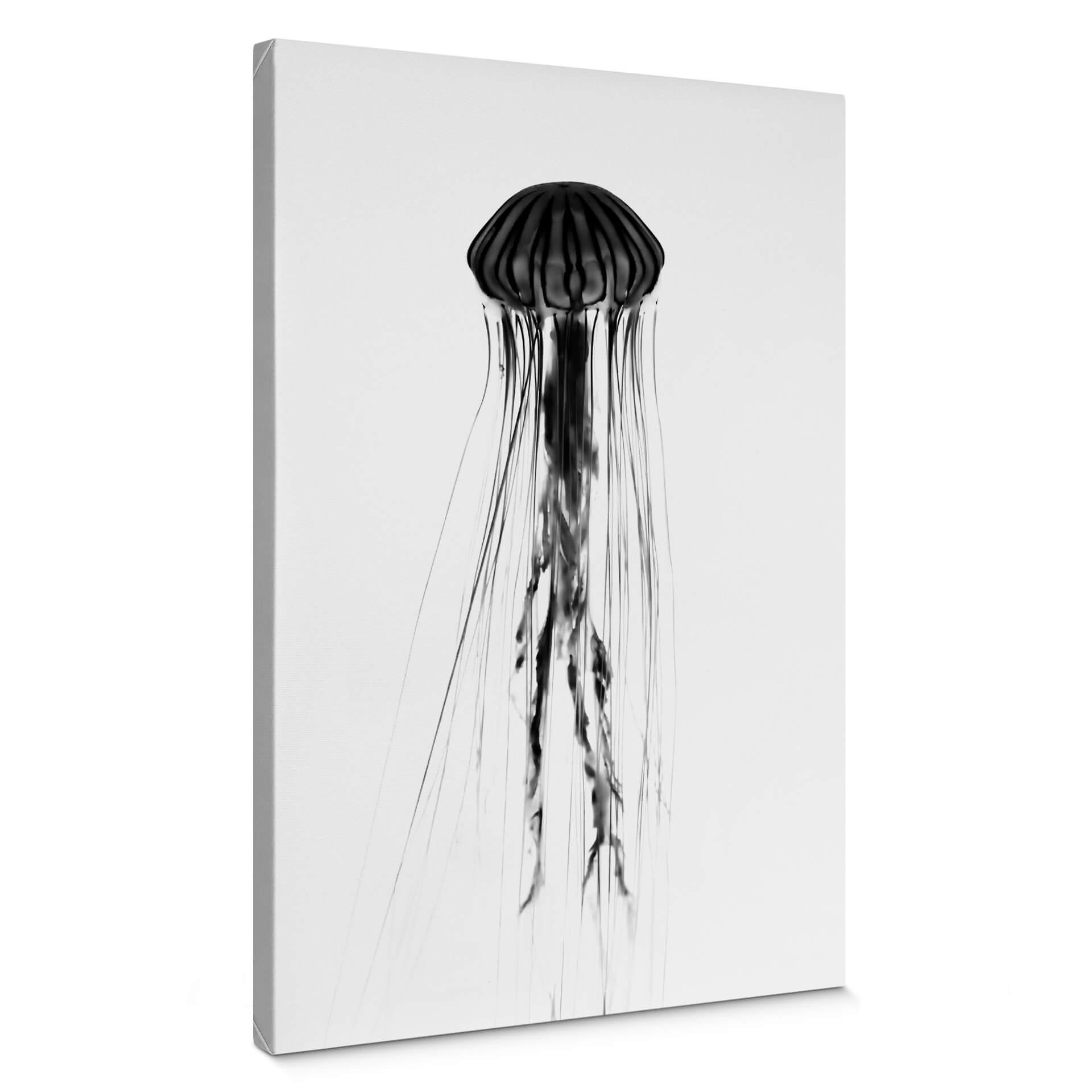 Lienzo Medusa negra