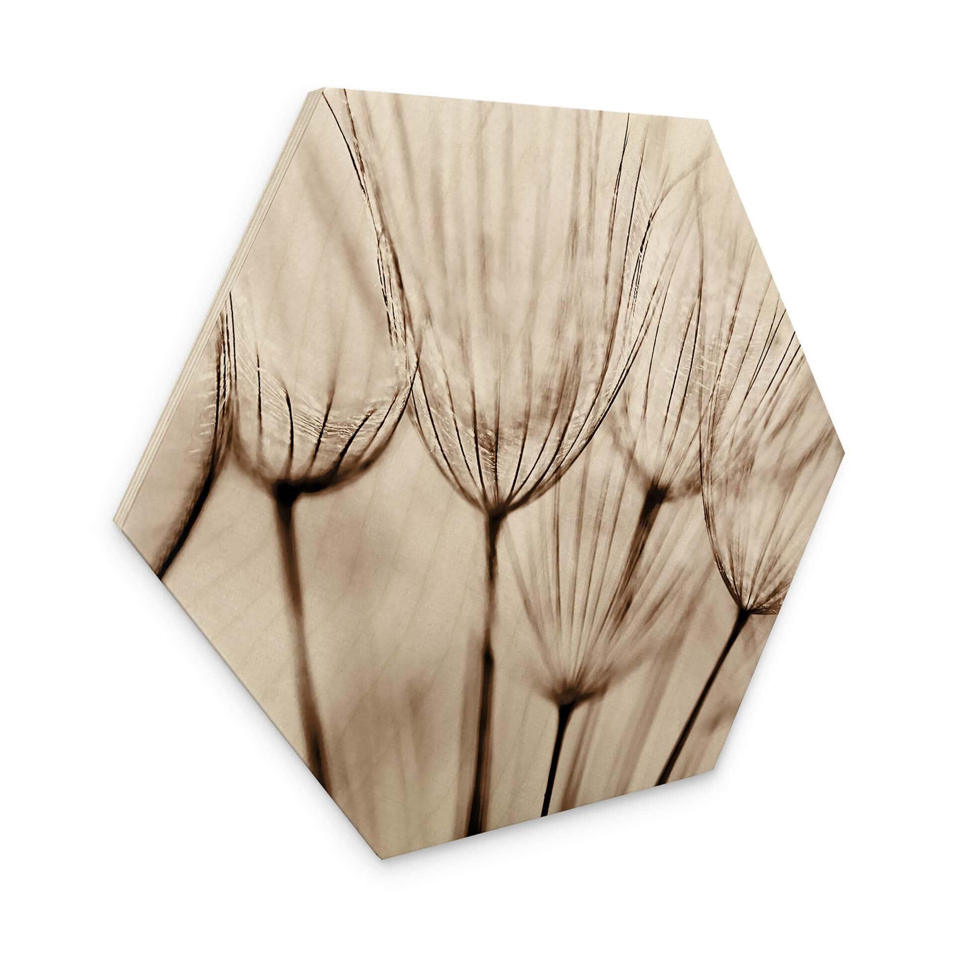 Hexagone - Bois Parapluie d'aviateur