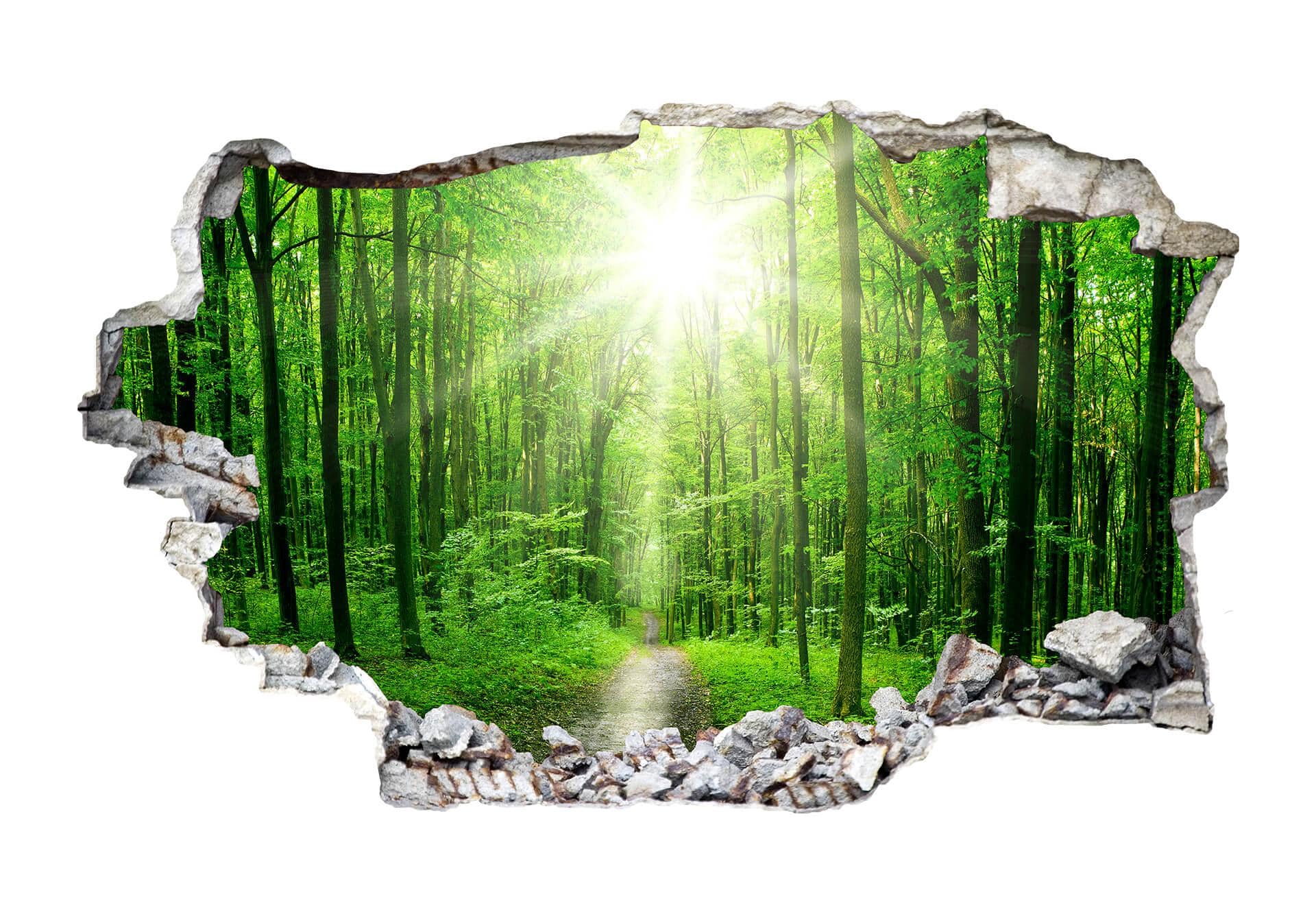 3D Wallsticker Sunny Forest