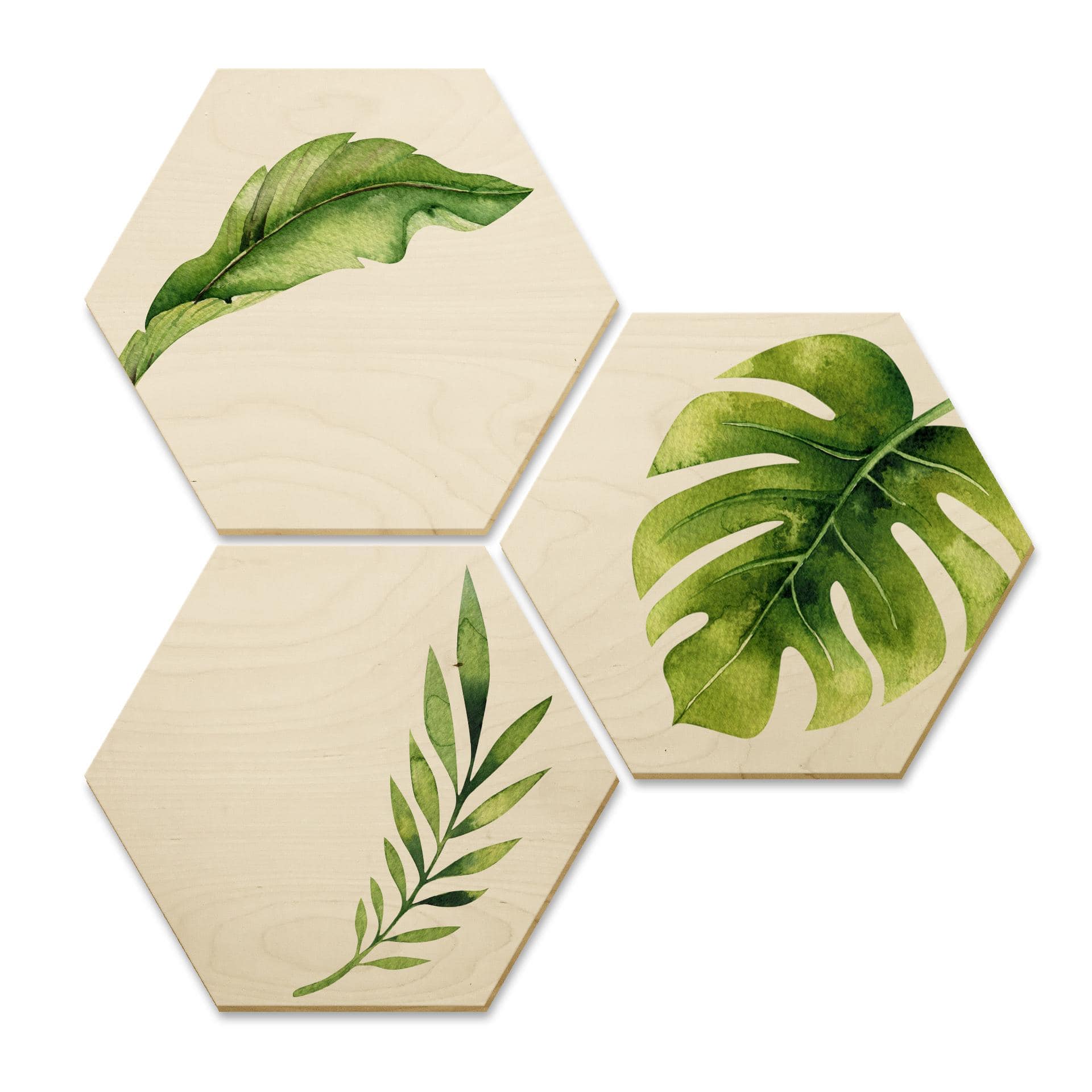 Hexagone - Bois placage de bouleau - Kvilis -Jungle 04 (Set de 3)