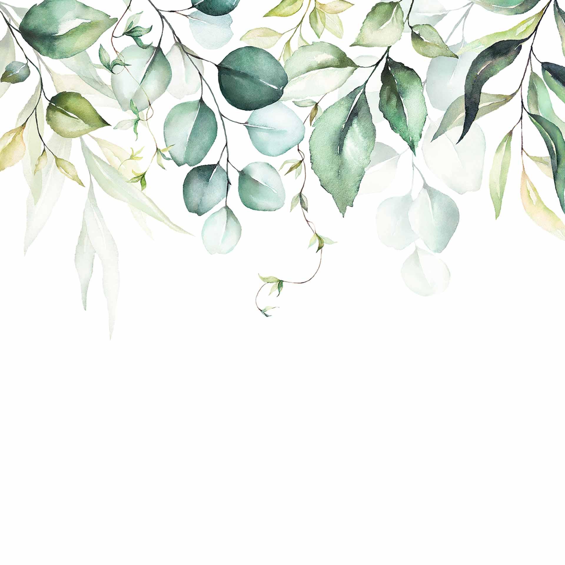 Watercolour Leaves plant behang in wit groen - vliesbehang Designwalls 2 - 2,55 x 3,5 m
