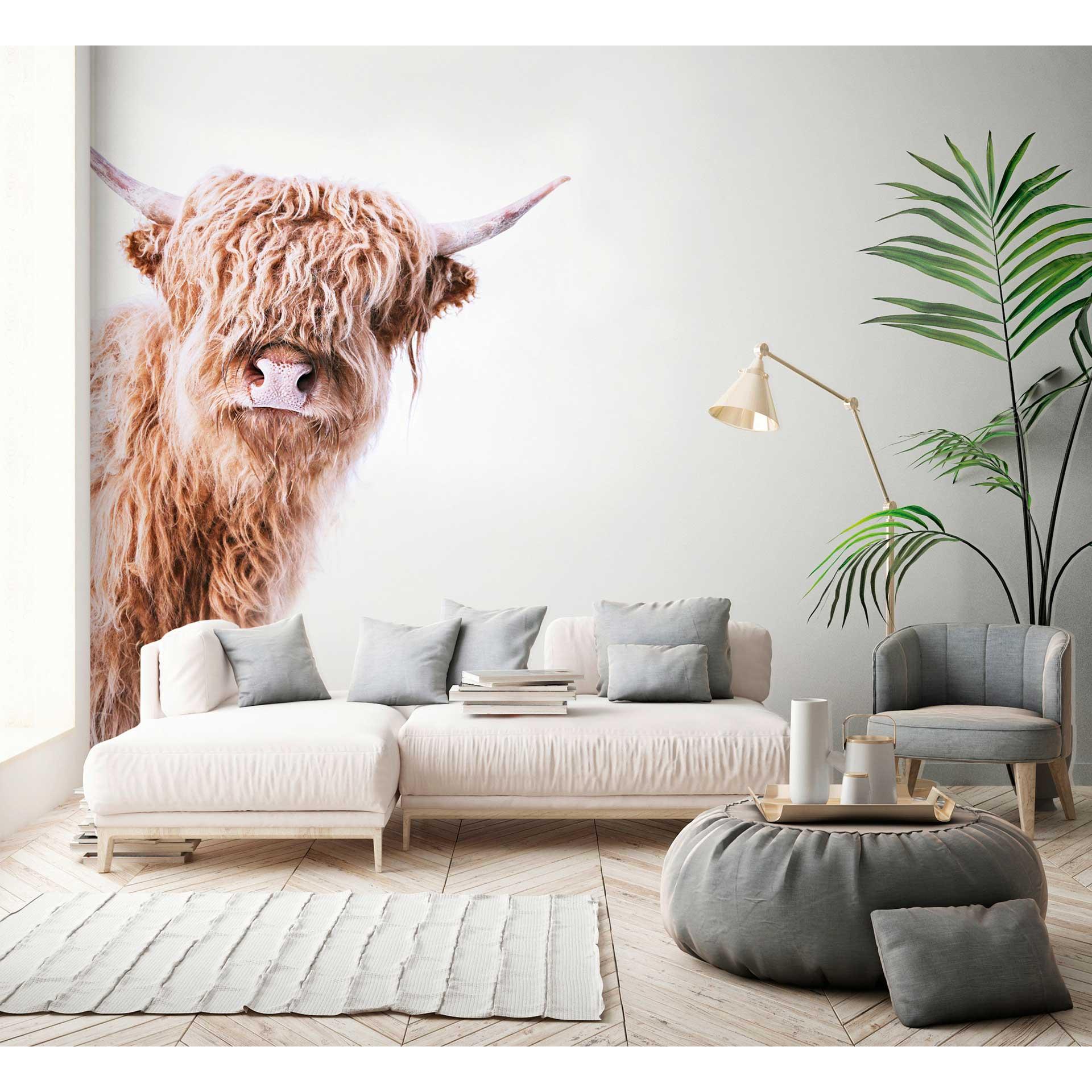 Livingwalls Fotobehang ARTist Highland Cattle