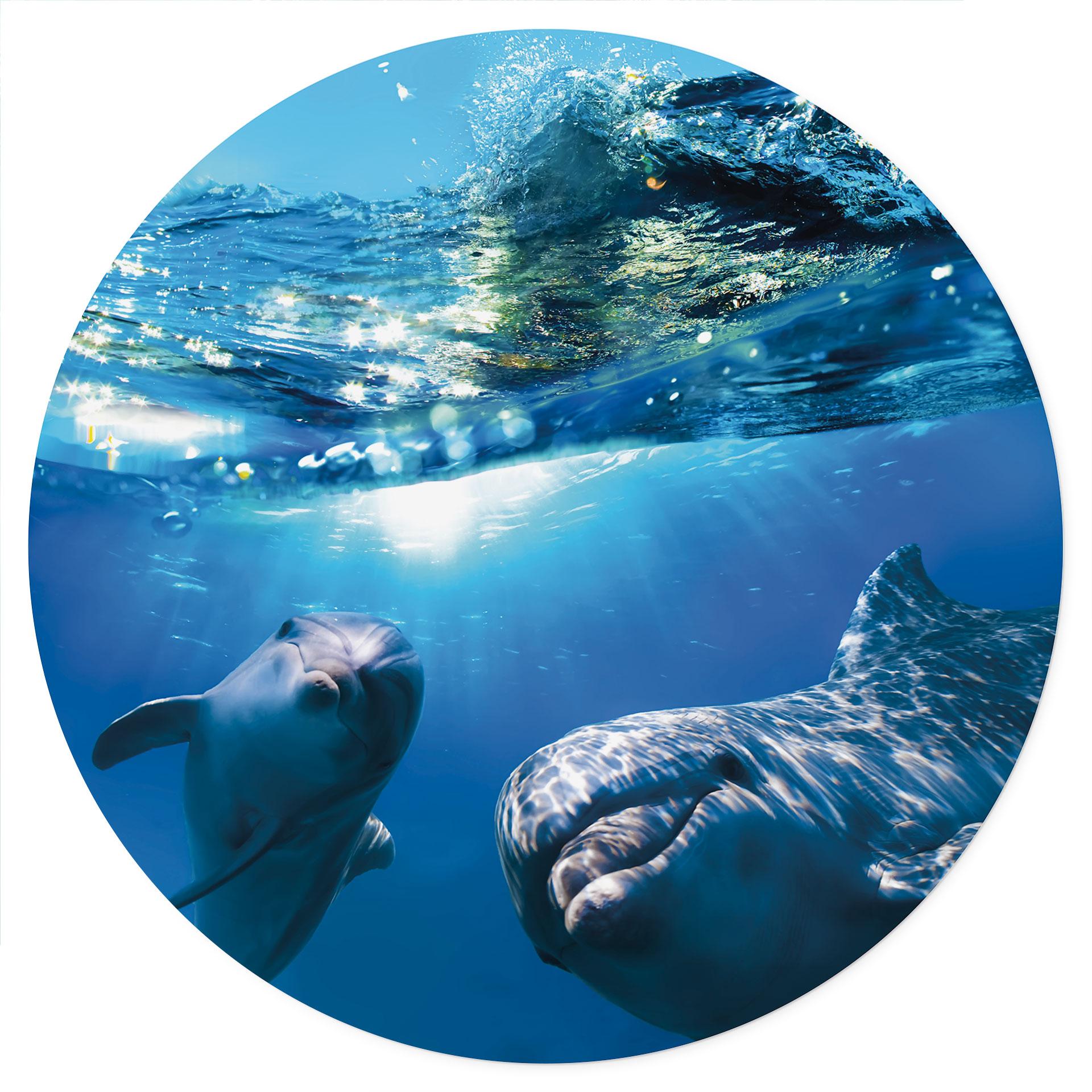 Adesivo murale dei delfini sott'acqua - Rotondo