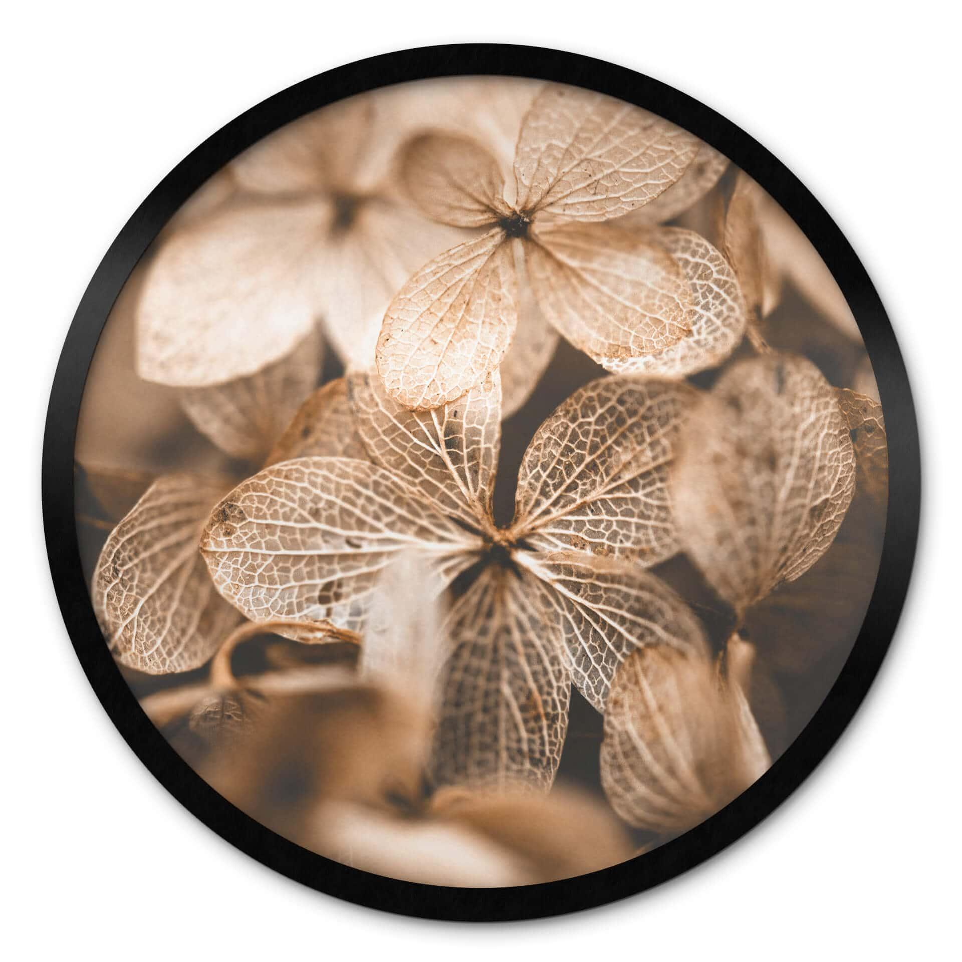 Plakat Annie - Delicate Flowers