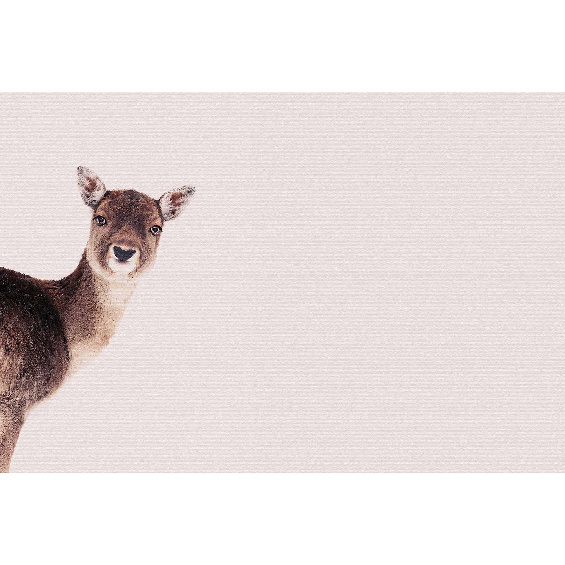 Livingwalls papier peint photo ARTist Deer Rose