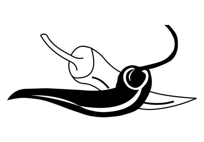 Wandtattoo Chili