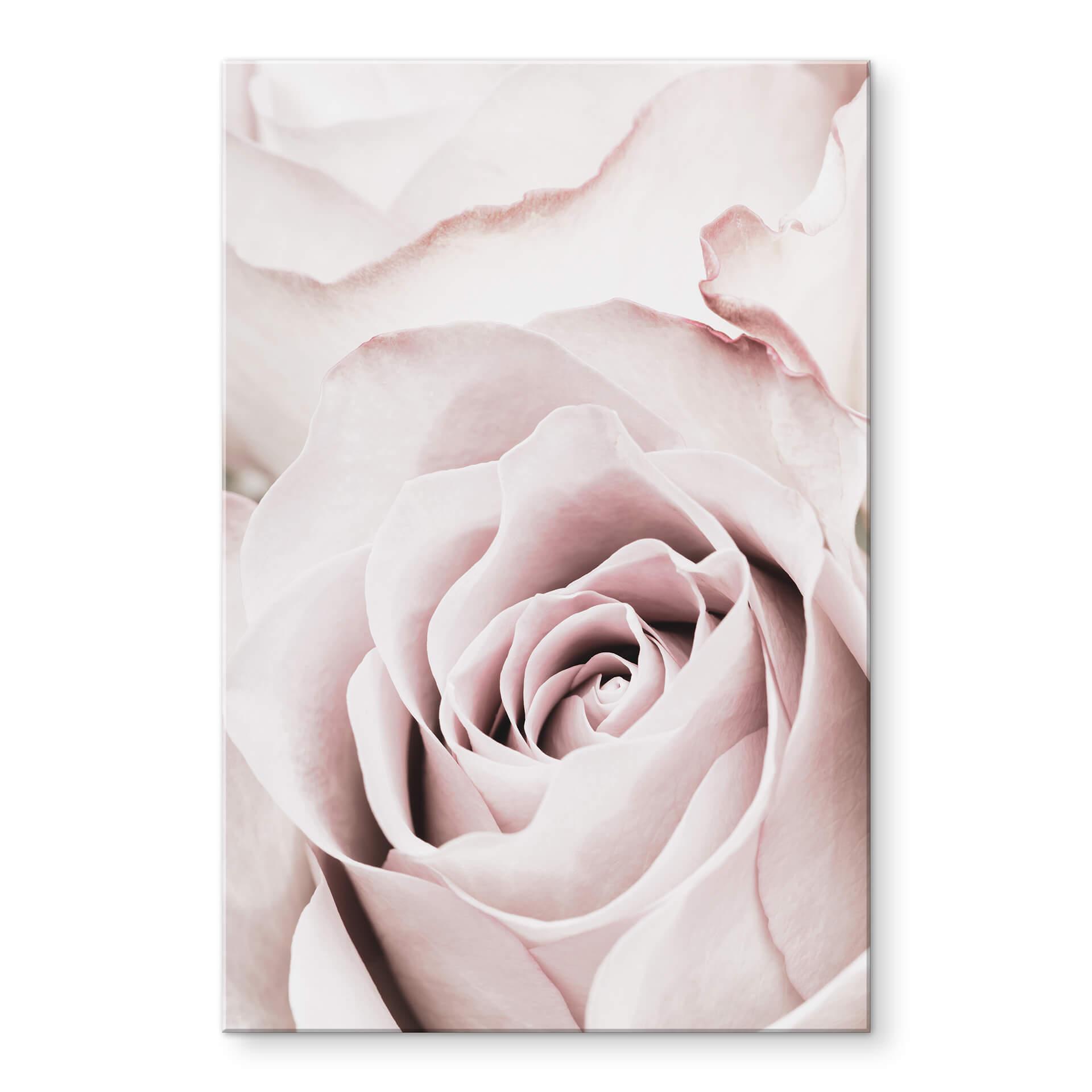 Acrylglas 1X Studio - Rose