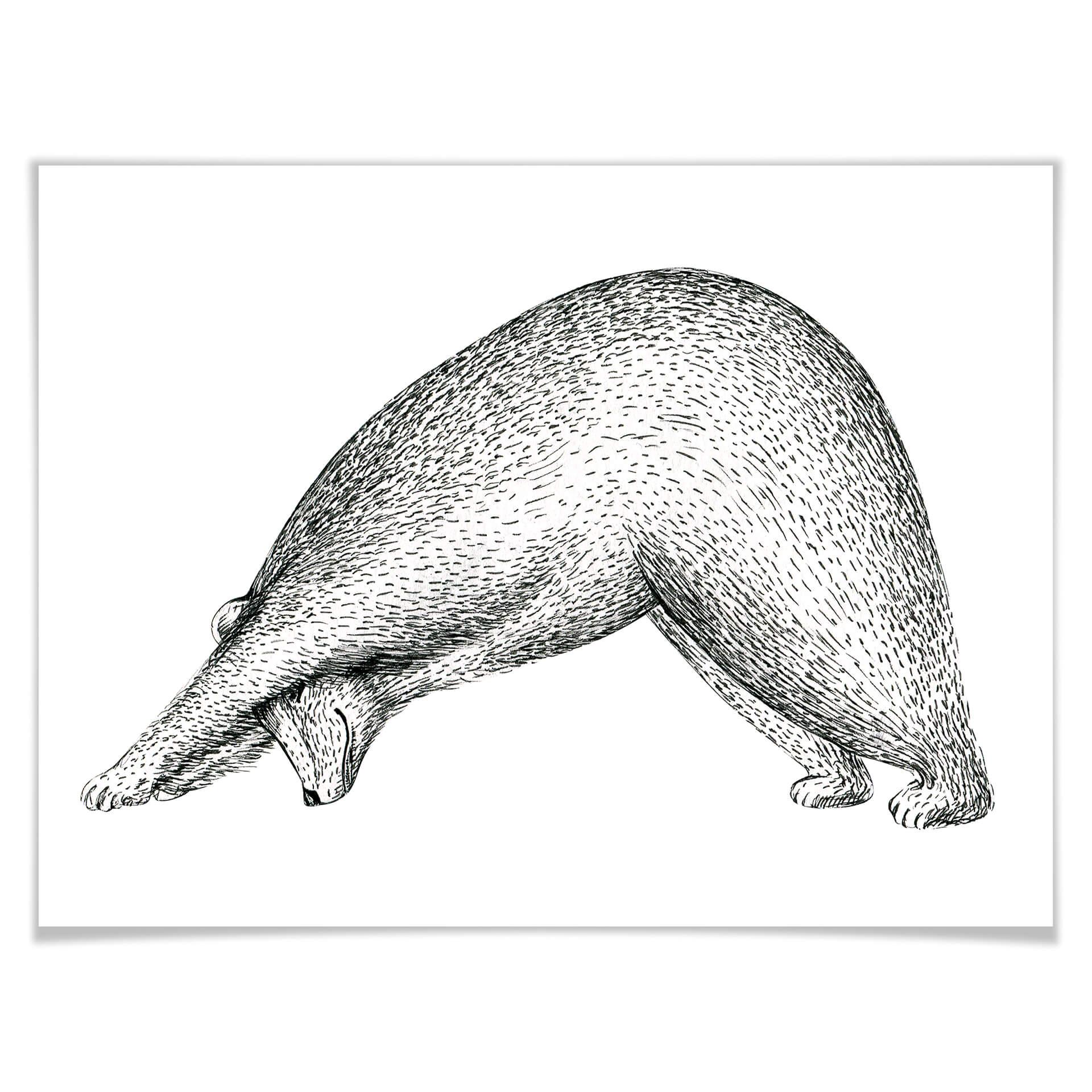 Plakat Kvilis - Yoga Bear 01
