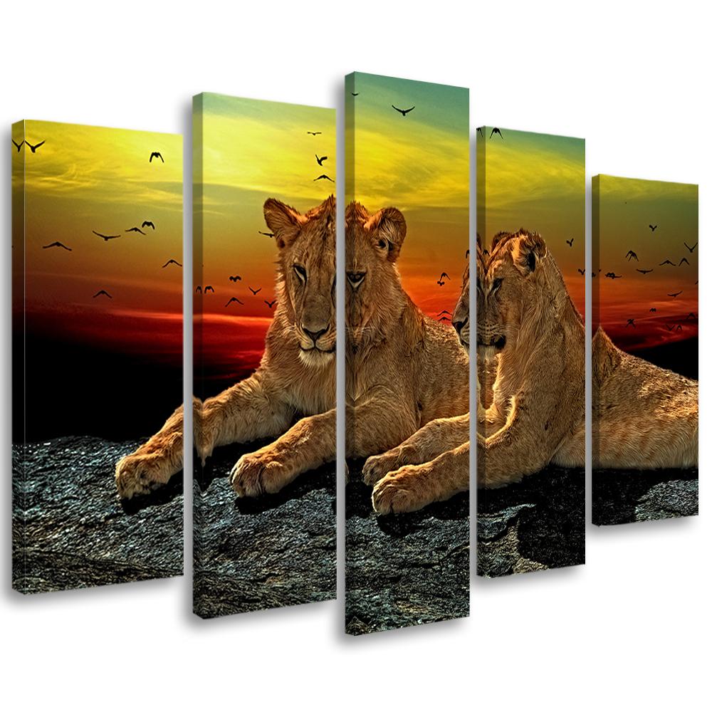 5 stykke lærredsprint, Lion Savannah Africa Nature