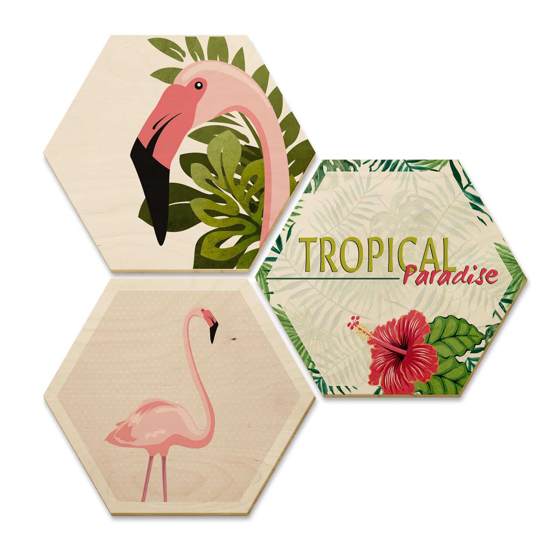 Hexagone - Bois placage de bouleau - Flamant rose 03 (Set de 3)