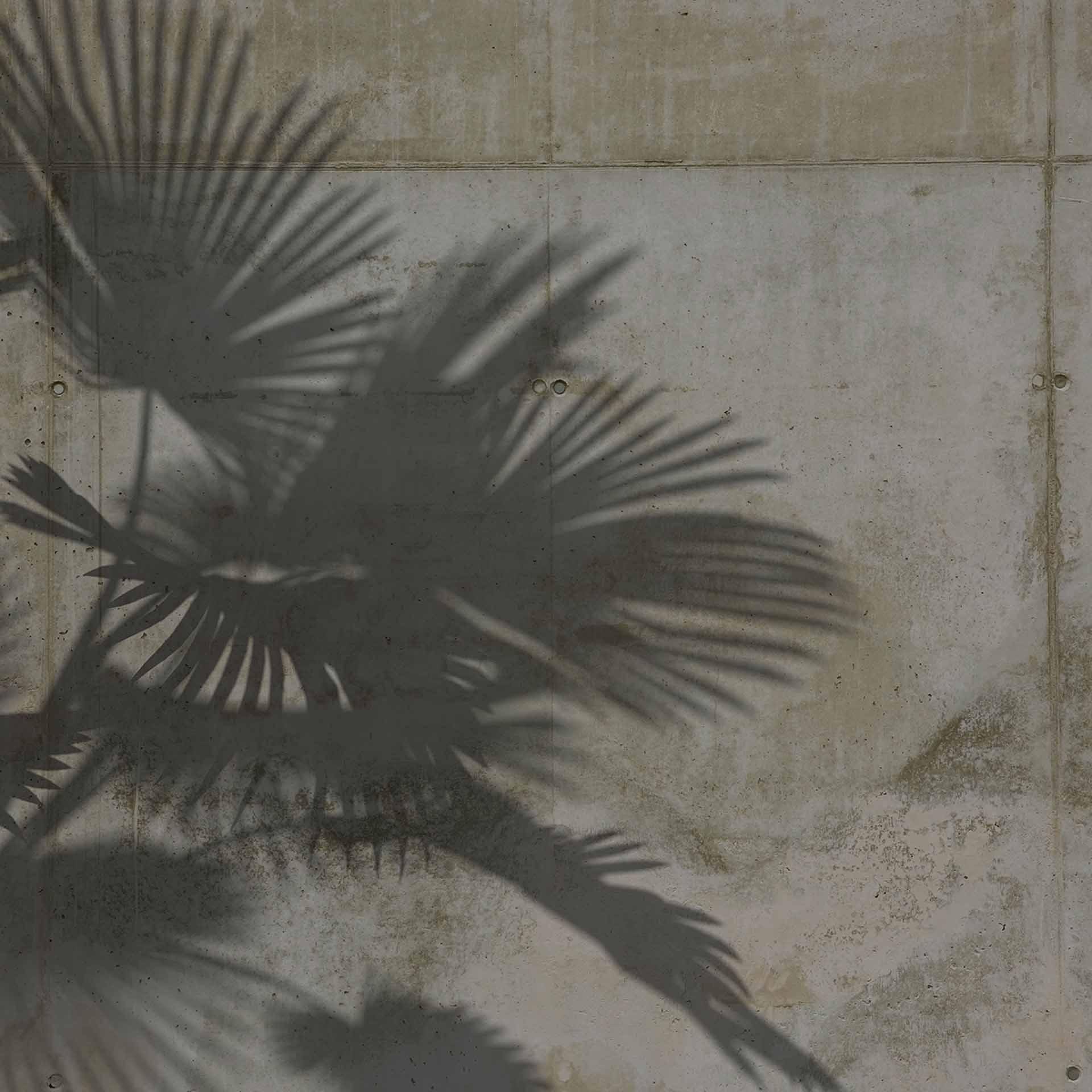 ShadeOfPalm2 in grijsgroen - vliesbehang Designwalls 2 - 2,55 x 3,5 m