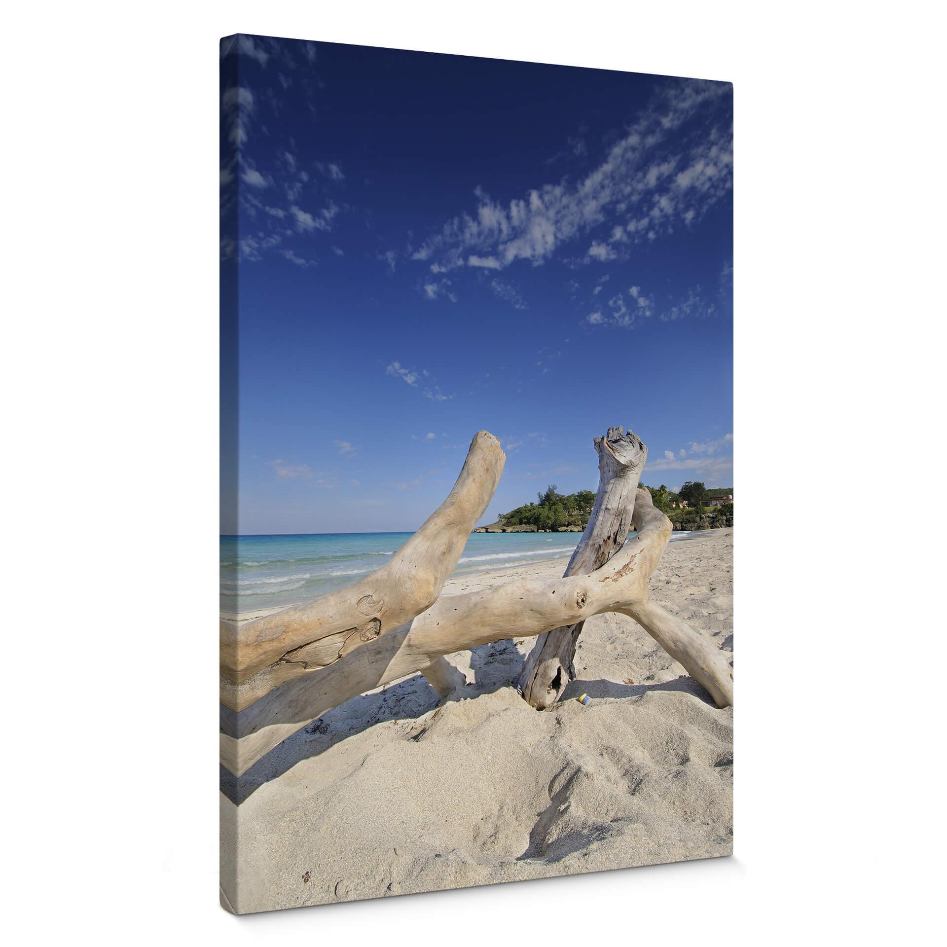 Lienzo Driftwood
