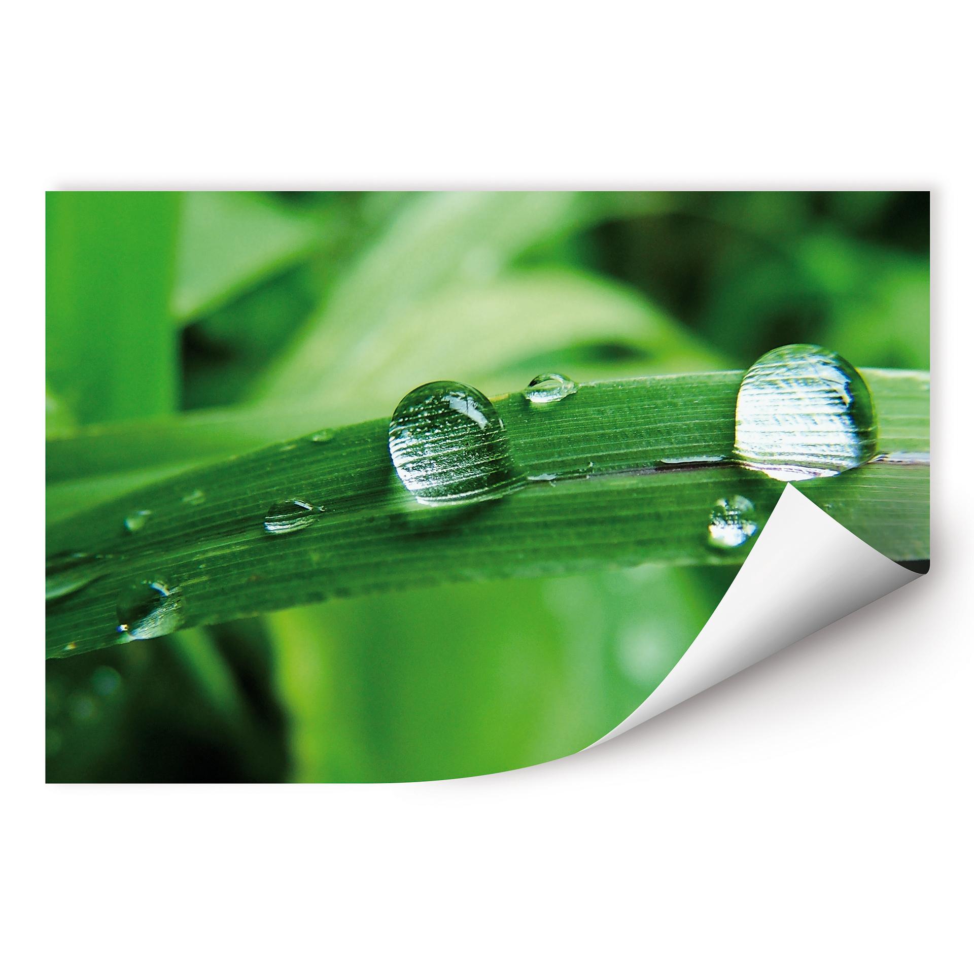 Poster autocollant - W - Nature 4