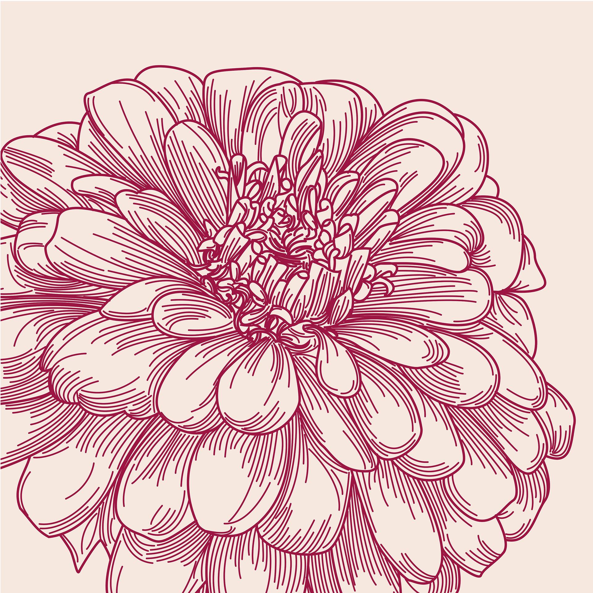 Fotobehang Bloemenillustratie