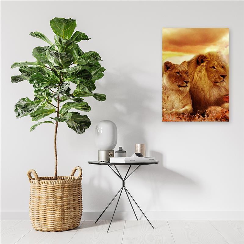 Canvasbillede, Konge løve og løvinde
